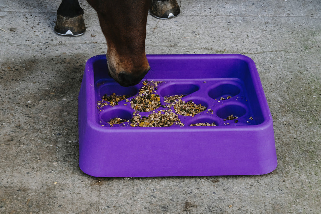 Mangeoire anti-glouton - Hippotonic