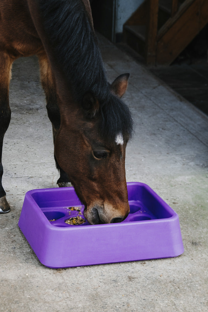 Mangeoire anti-glouton - Hippotonic