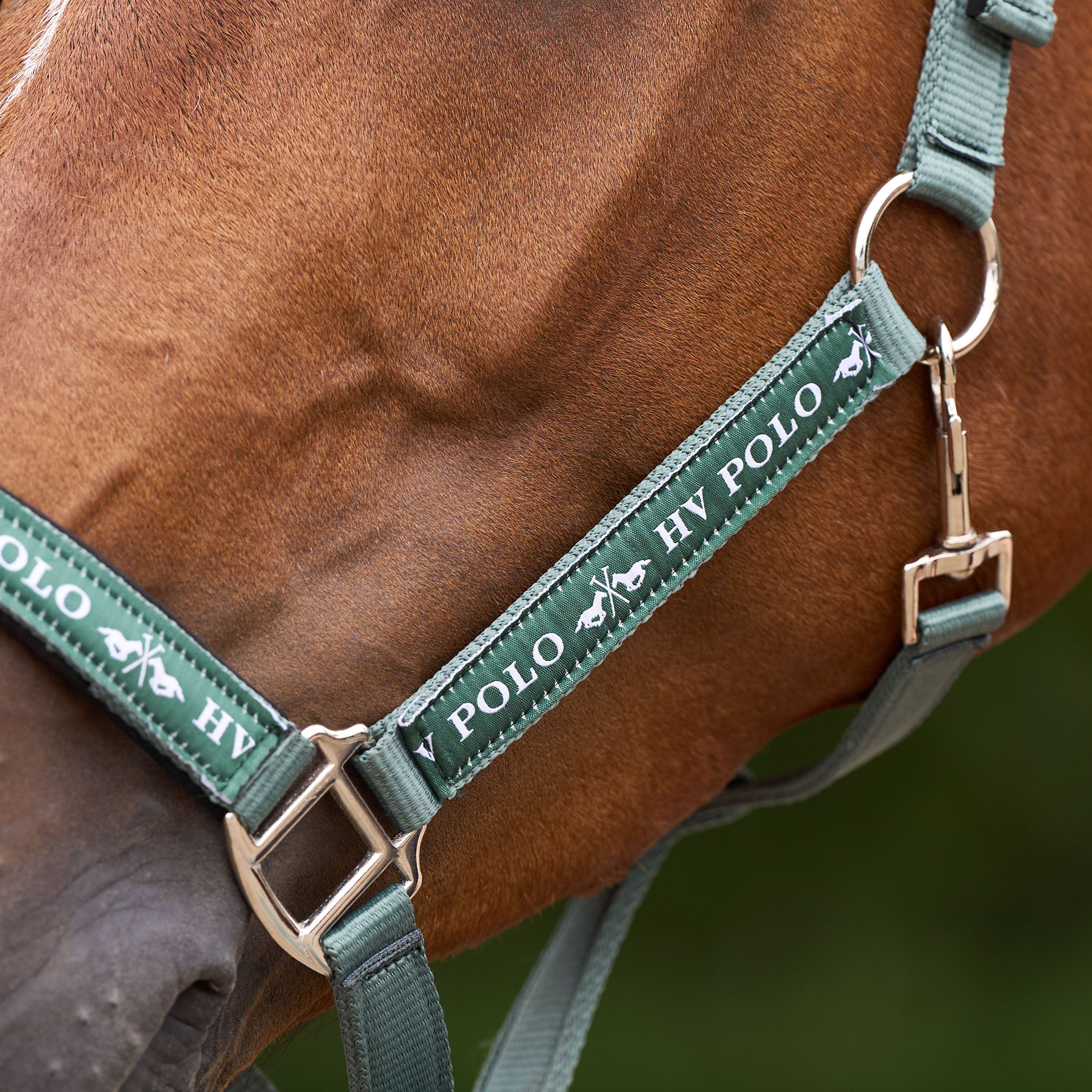 Licol Nena - HV POLO