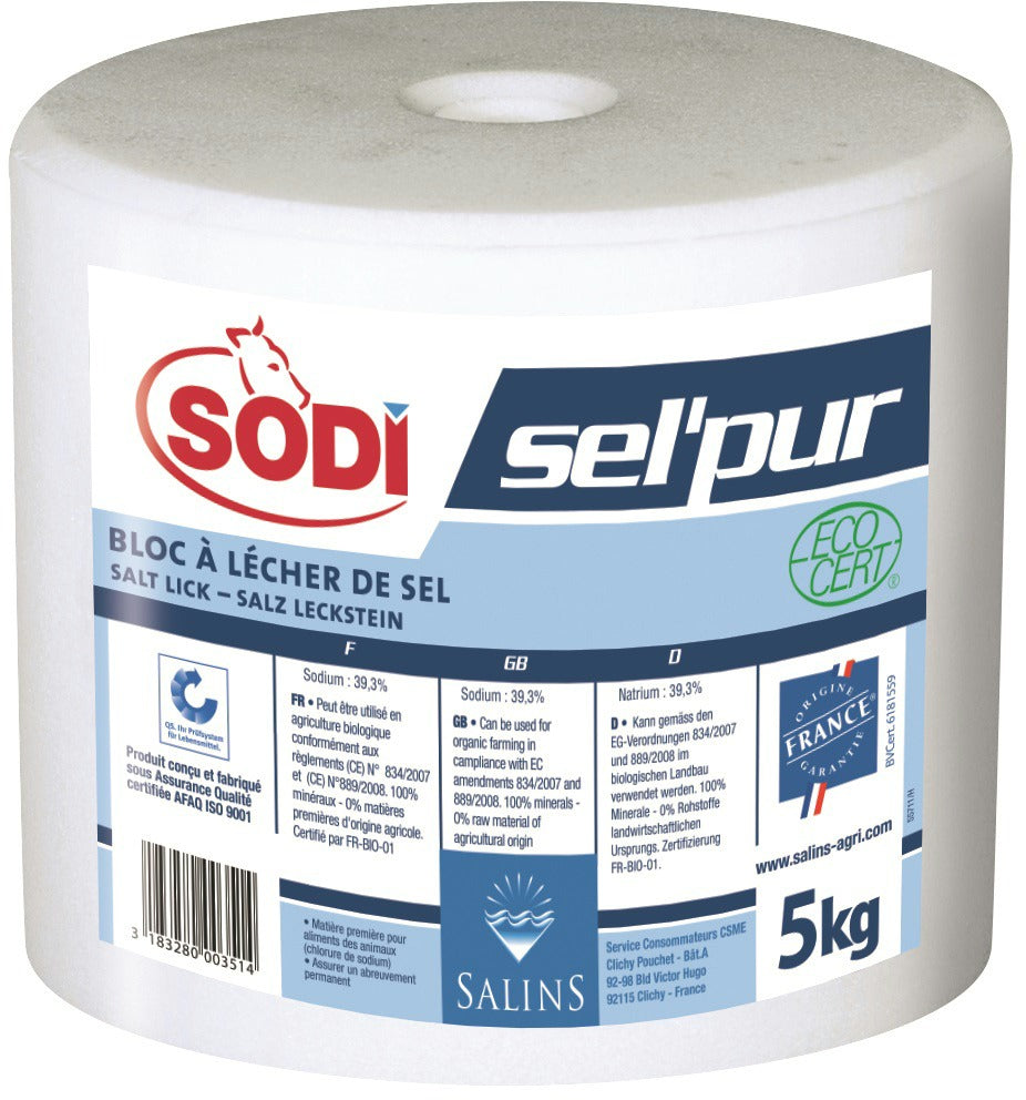Pierre à sel sel&