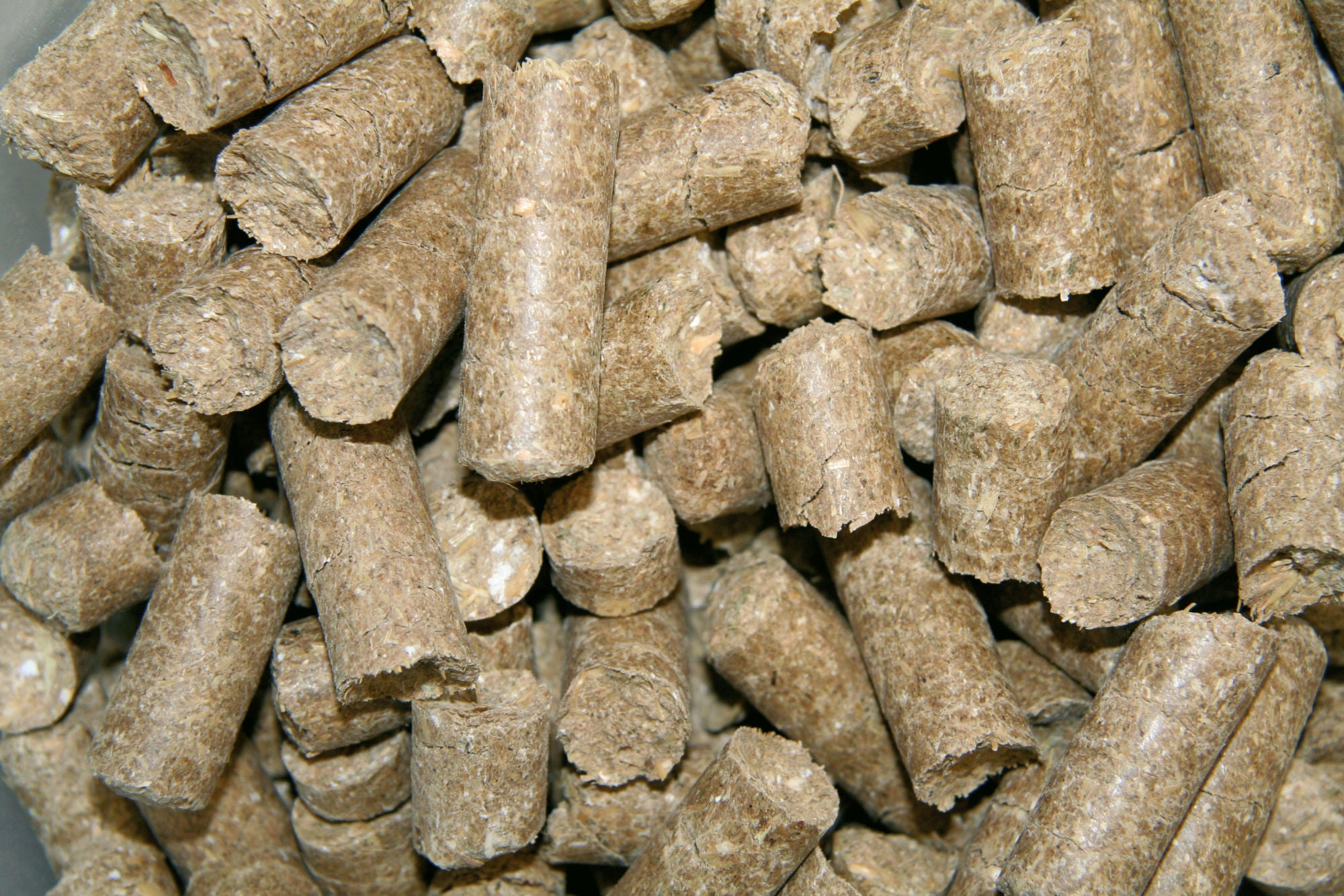 Friandises pour chevaux Classic Delizia® - Kerbl