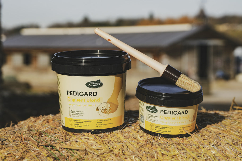 Onguent blond Pedigard - Laboratoire Ravene