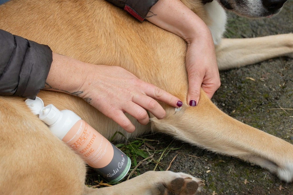 Soin regénérant Sensitive zinc Gel - Alodis Care