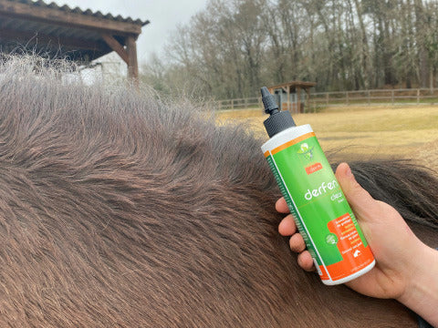 Lotion DERFEN™ "CLEAR" - Animaderm