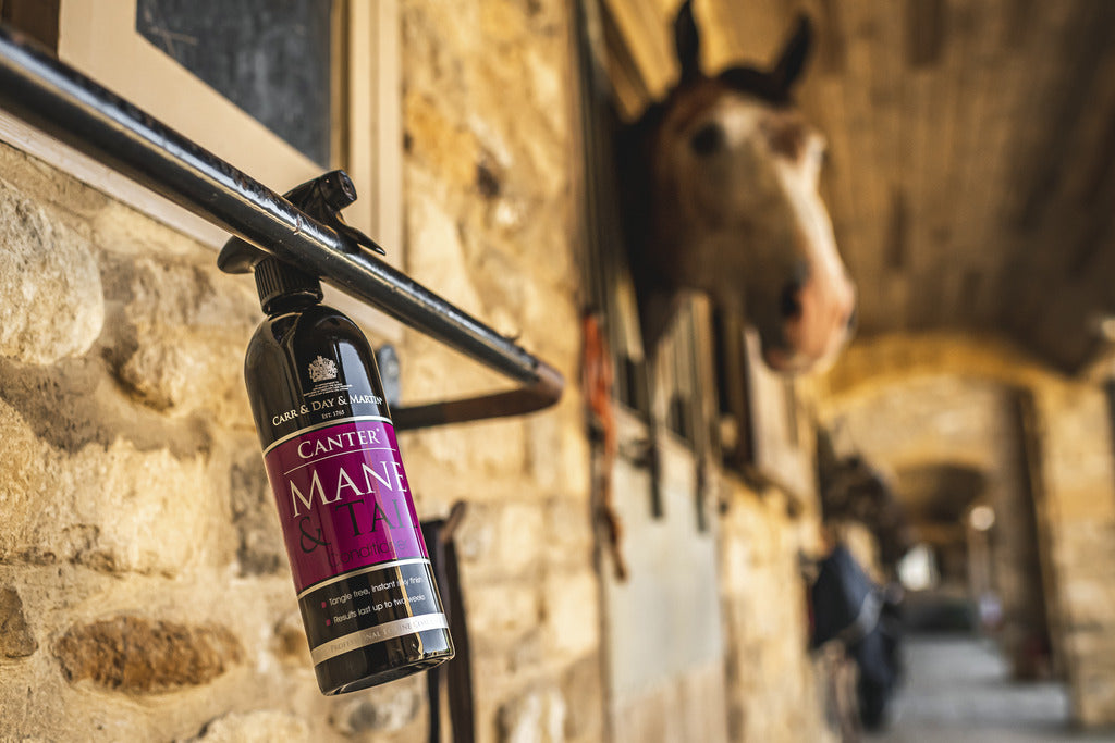 Démêlant Mane & tail - Carr & Day & Martin LTD