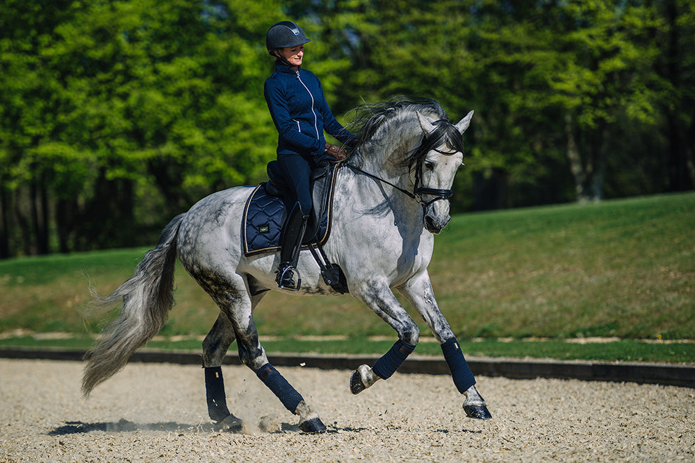 Tapis de selle Equestrian Stockholm - ROYAL CLASSIC DRESSAGE