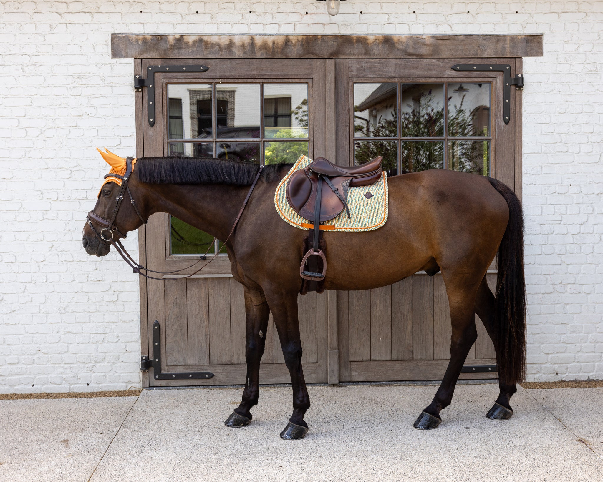 Tapis de Selle Velvet printing Orange et Bleu MIXTE - Kentucky