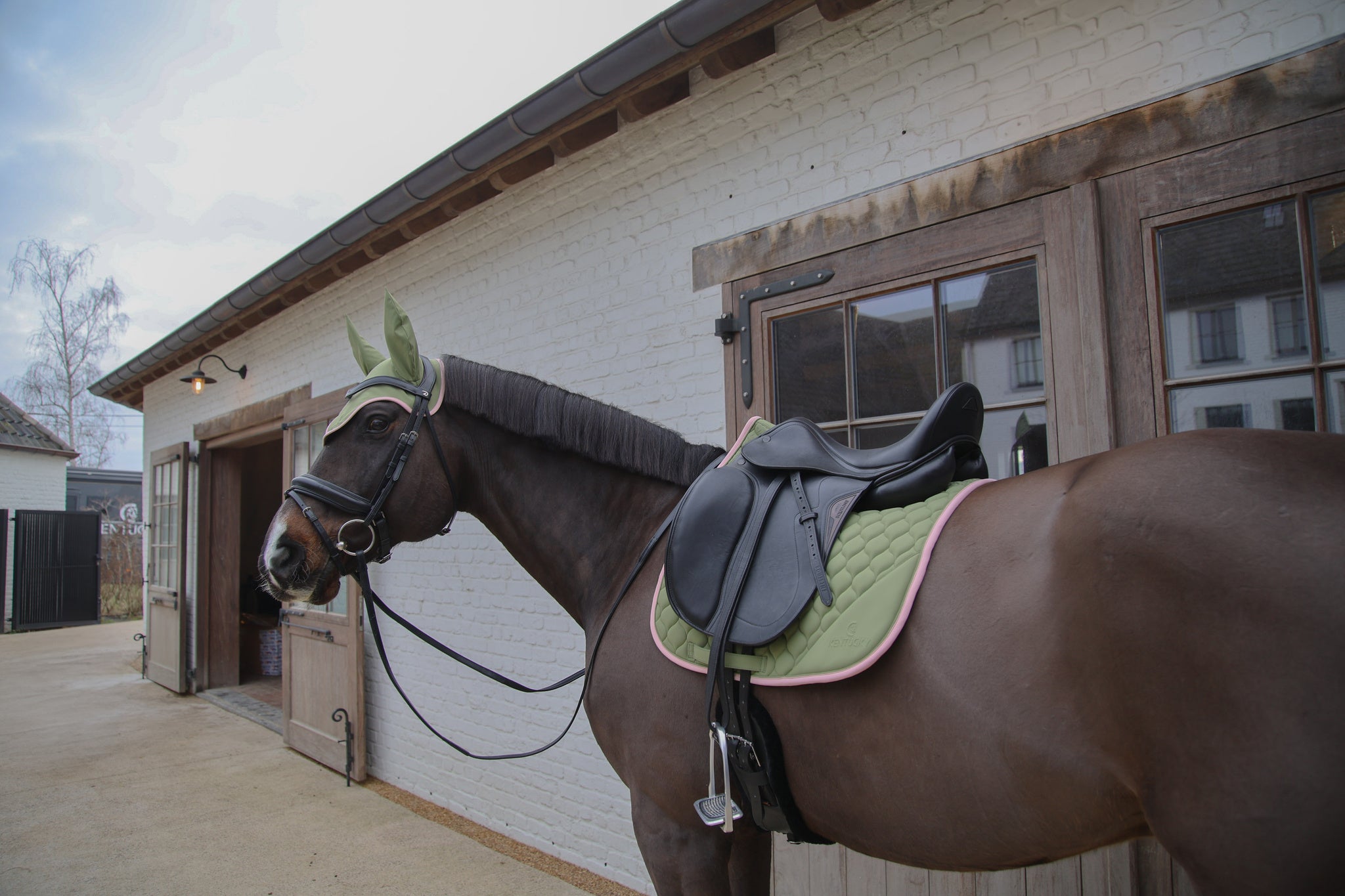 Tapis Softshell Onion Quilt DRESSAGE - Kentucky
