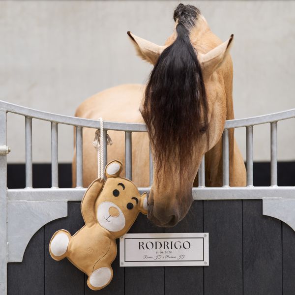 Jouet de box Teddy - IMPERIAL RIDING