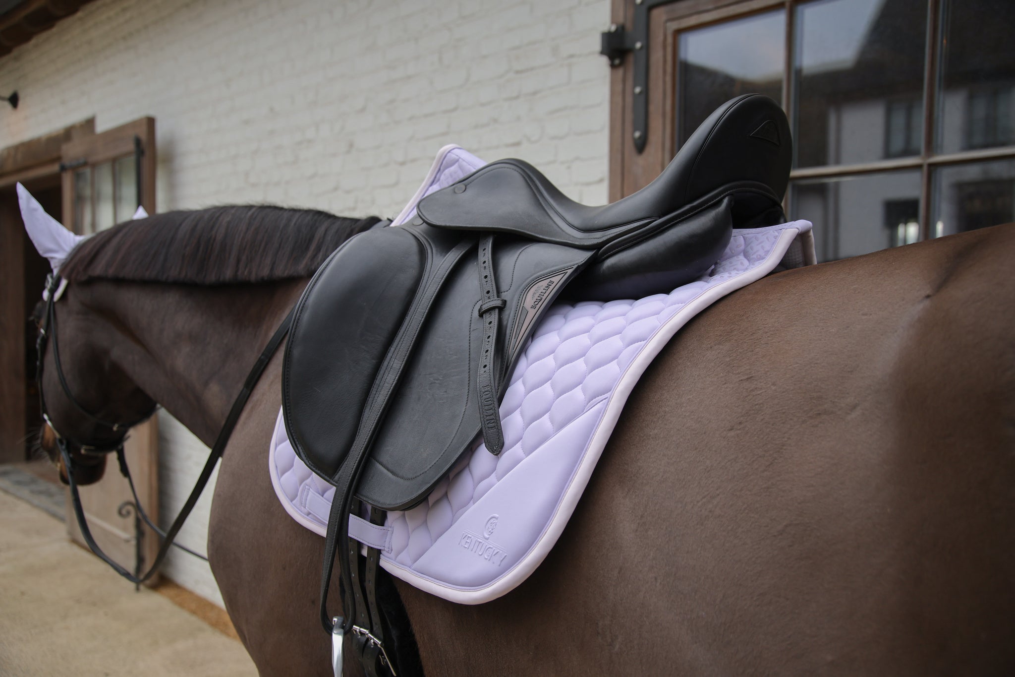 Tapis Softshell Onion Quilt DRESSAGE - Kentucky