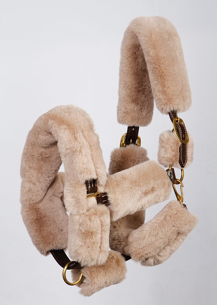 Licol Furry - Harry&