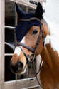 Bonnet Anti-mouches HKM Kopenhagen Pour Cheval - Bleu Foncé, Oreilles élastiques, Cordons Décoratifs - Protection Et Style - 3