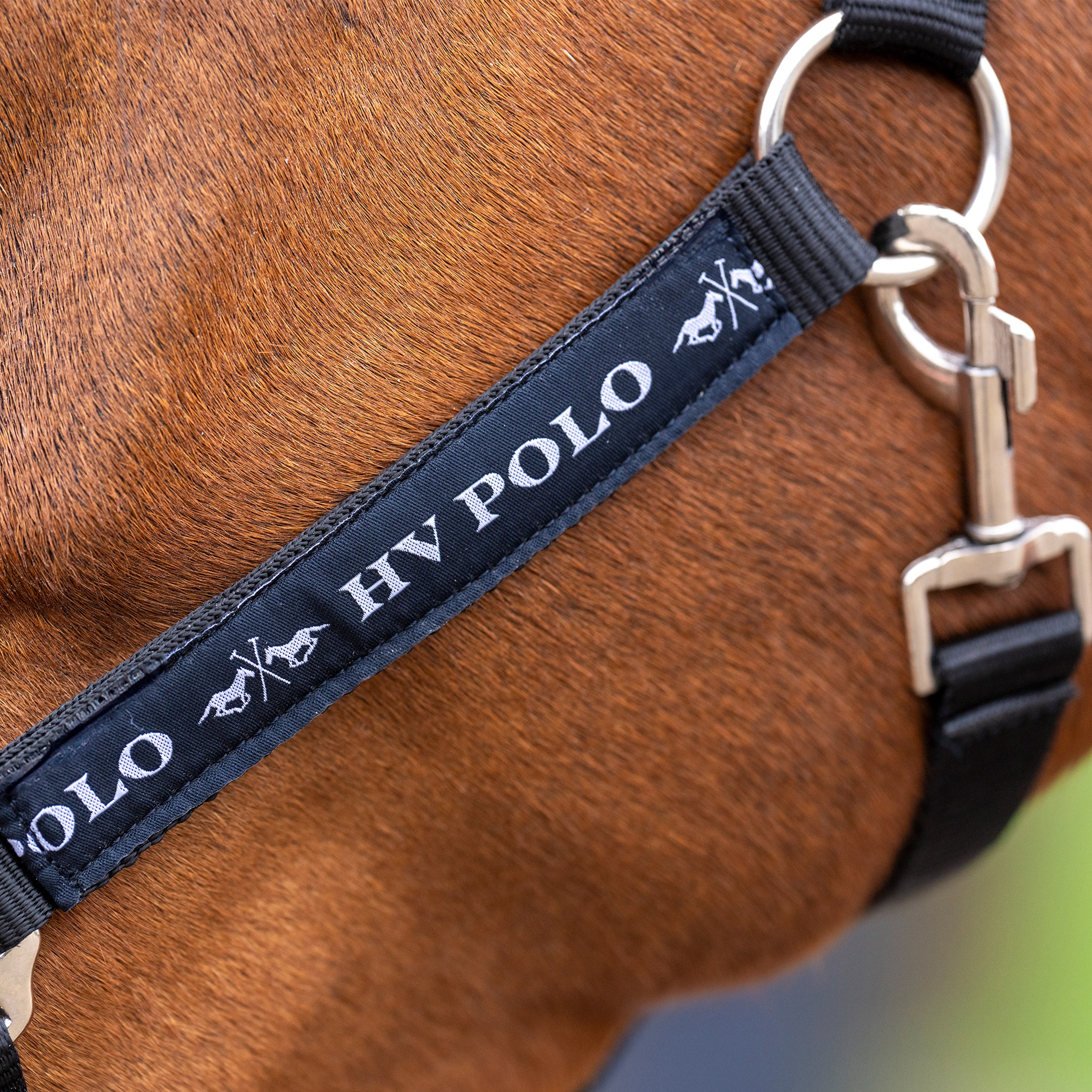 Licol HV Polo