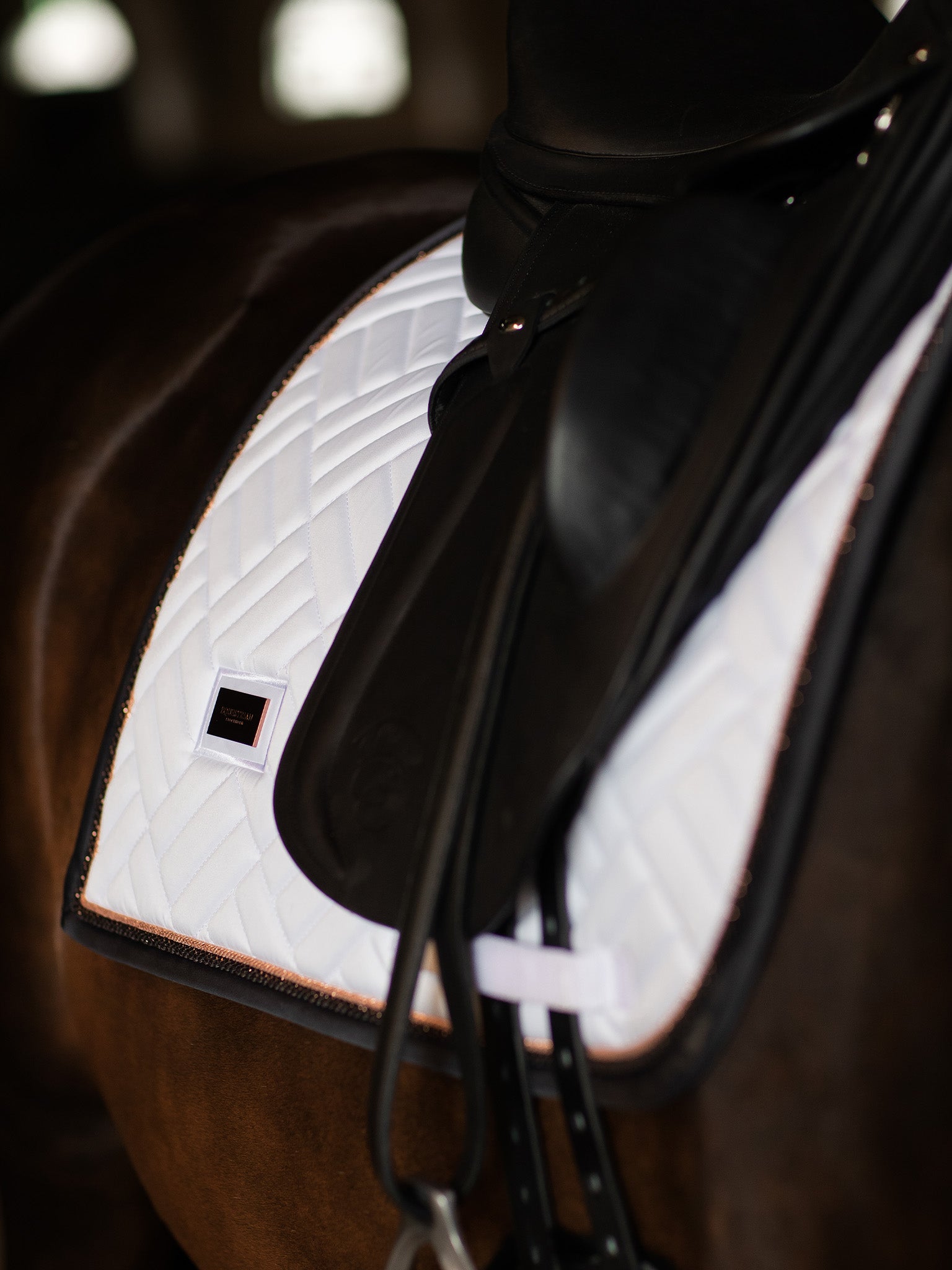 Tapis de selle Modern White Dark Ocean DRESSAGE - Equestrian Stockholm