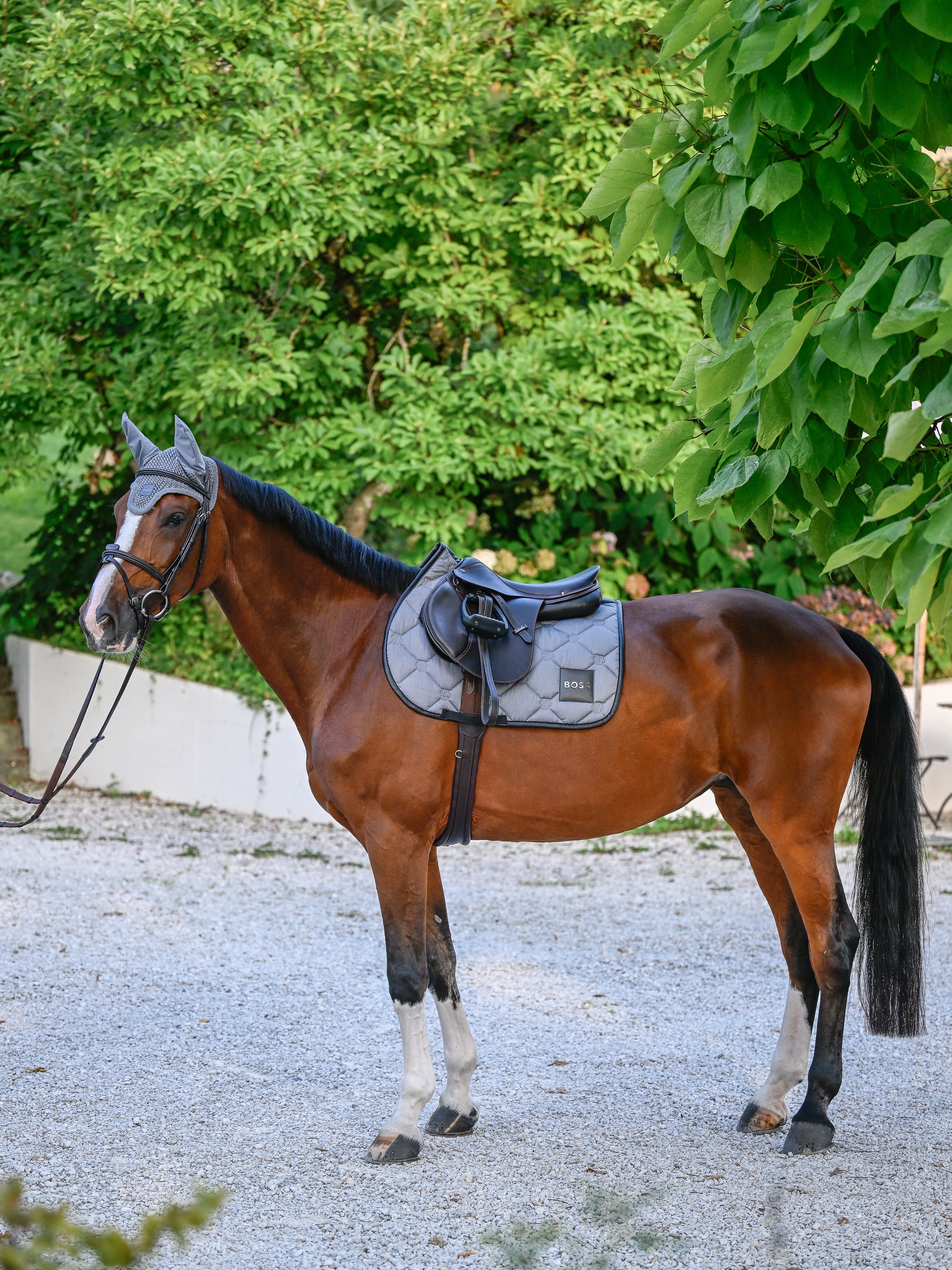 Tapis de selle Greymelange Mixte - Boss Equestrian