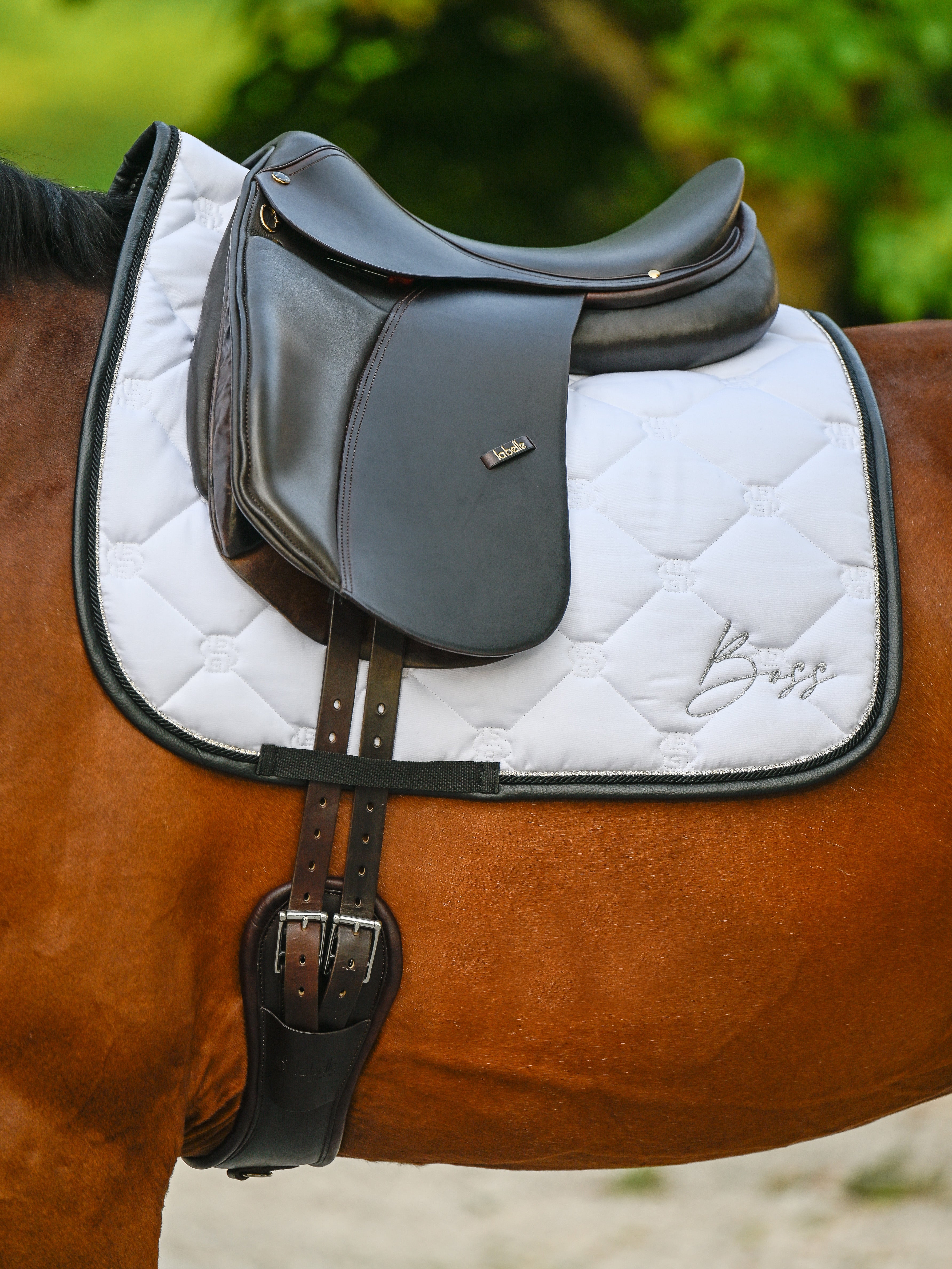 Tapis de selle Glitter Blanc Dressage - Boss Equestrian