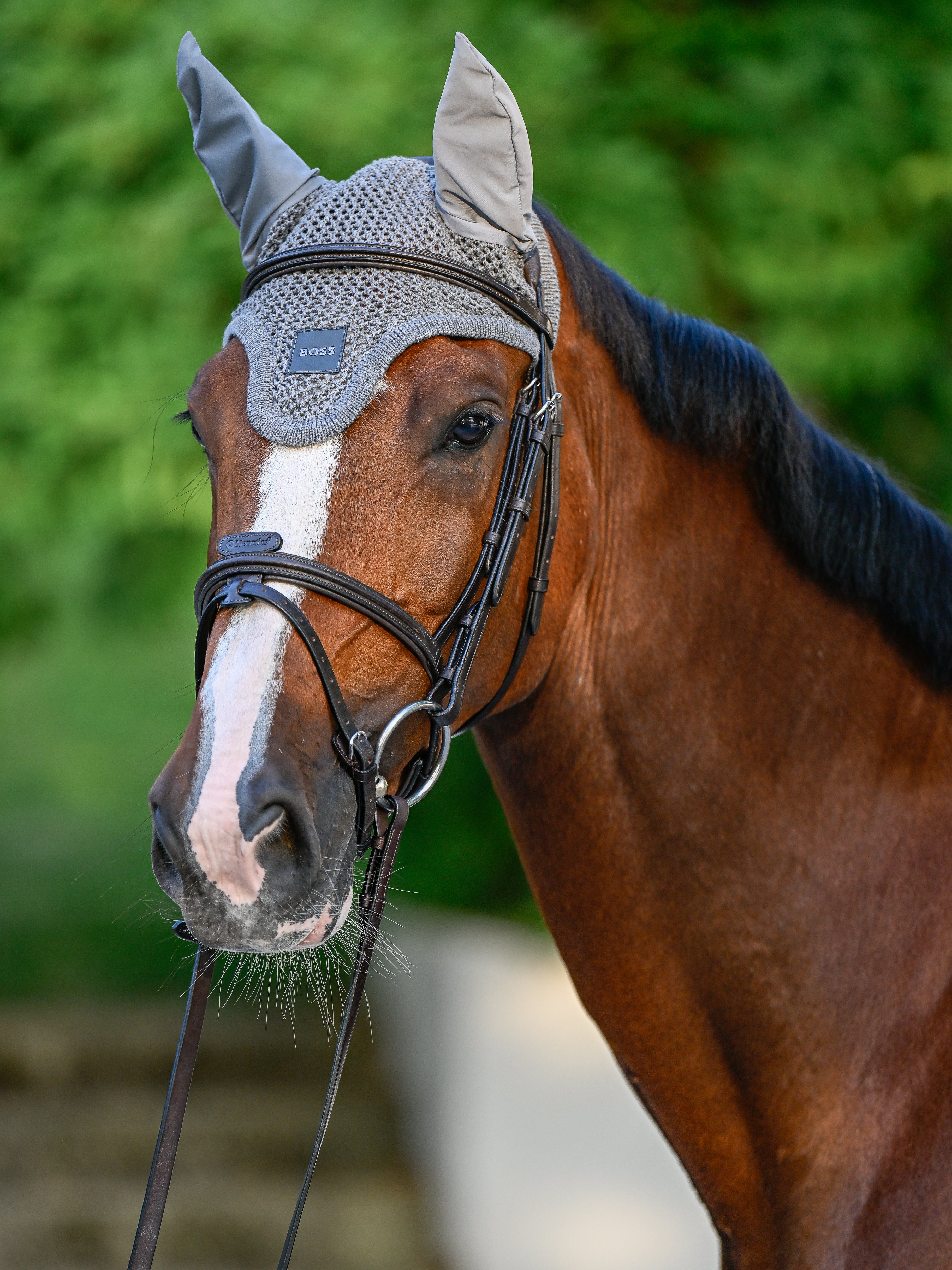 Bonnet anti-mouches Greymelange - Boss Equestrian
