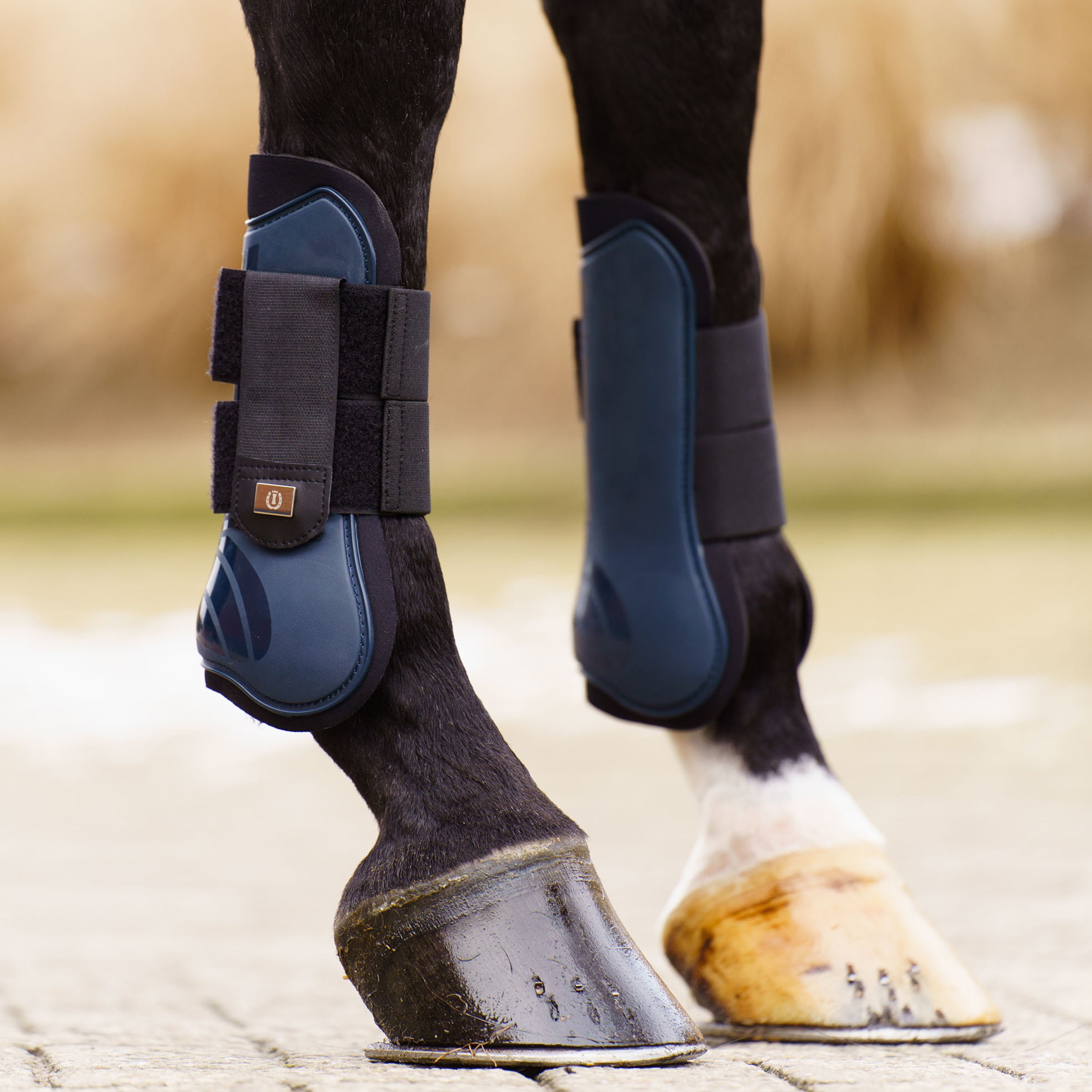 Guetres Lovely - IMPERIAL RIDING