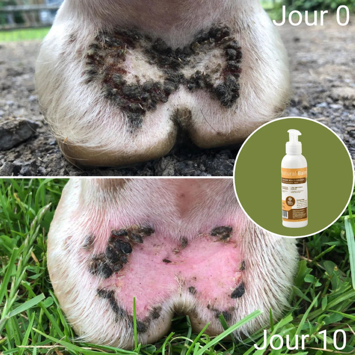 Crème désinfectante et cicatrisante Natural&