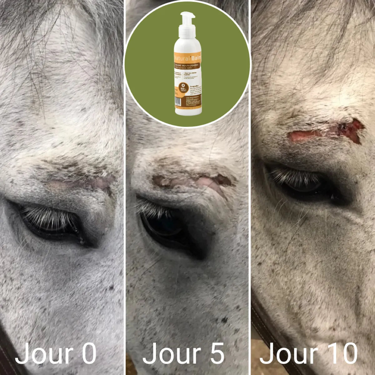 Crème désinfectante et cicatrisante Natural&