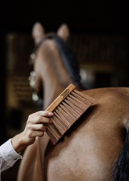 Bouchon moyen medium - Kentucky