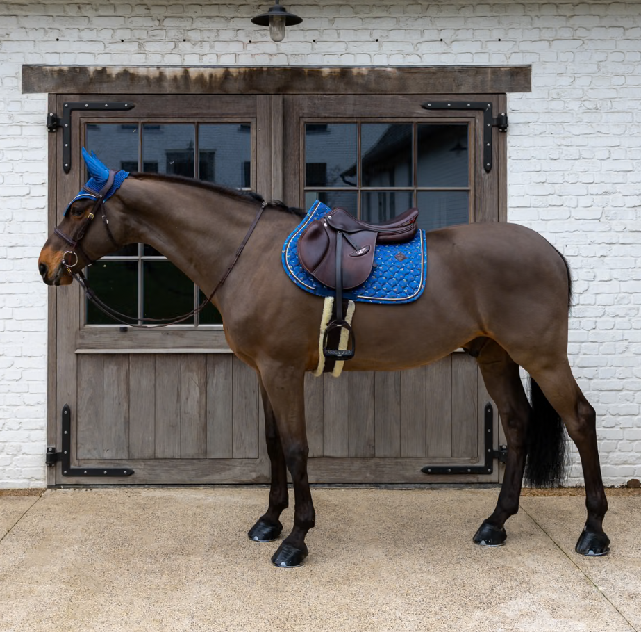 Tapis de selle Velvet Horse printing MIXTE - KENTUCKY