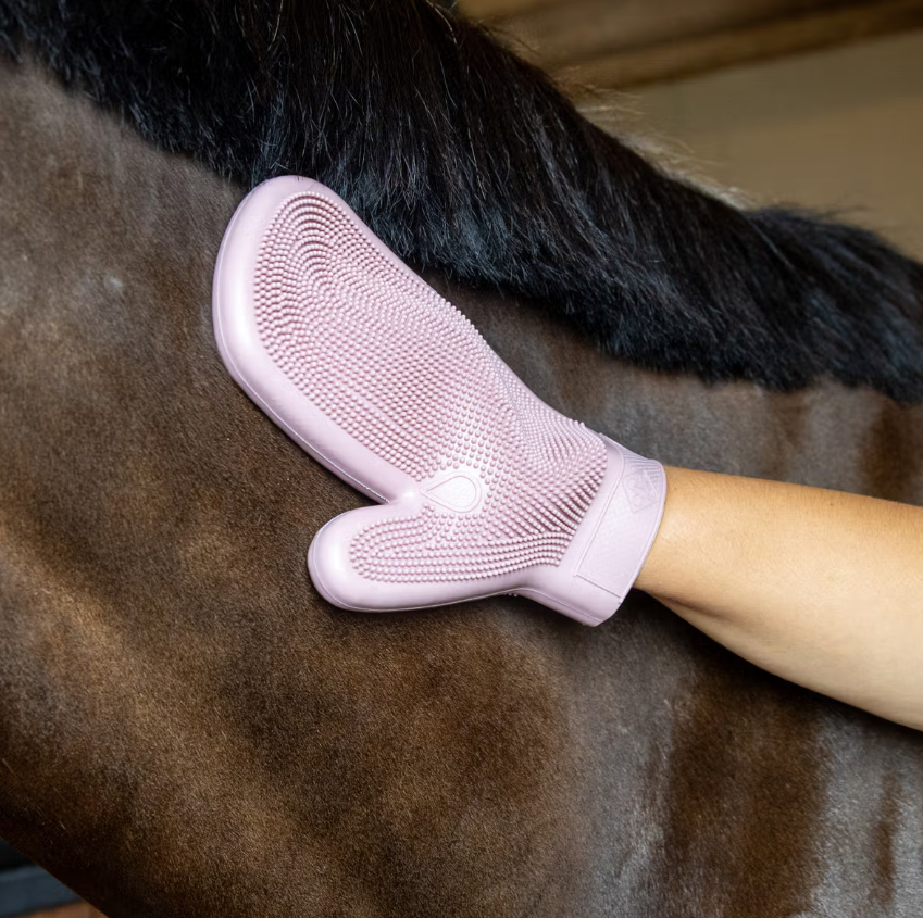 Gant de pansage caoutchouc - Grooming Deluxe