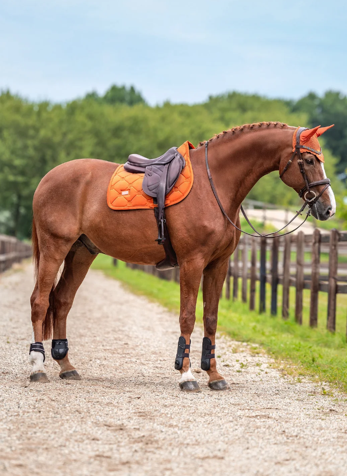 Tapis de saut Chestnut Velvet - EQUESTRIAN STOCKHOLM