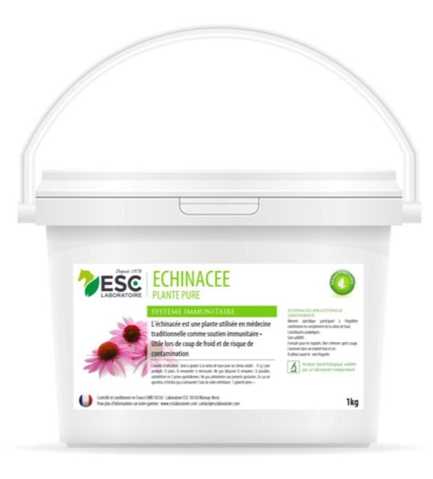 Echinacée defenses immunitaire - ESC LABORATOIRE