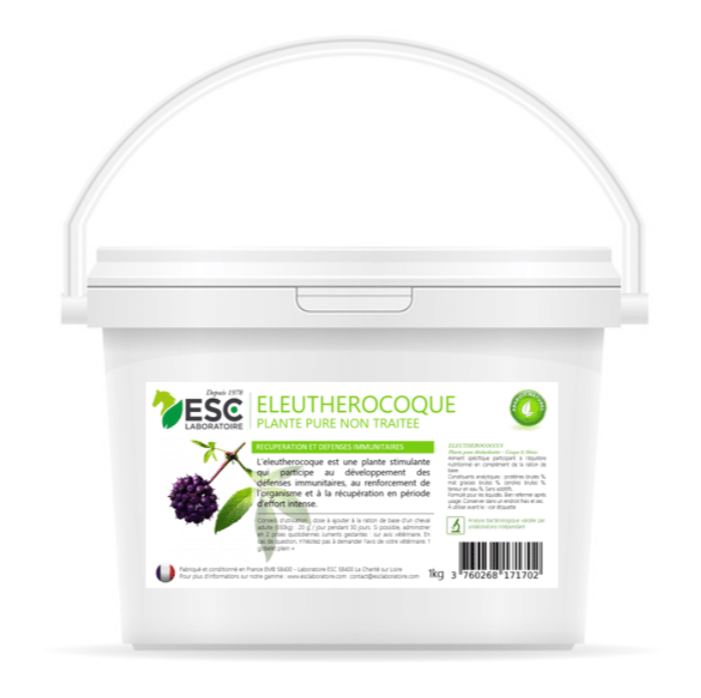 Eleutherocoque defense immunutaires et recuperation - ESC LABORATOIRE