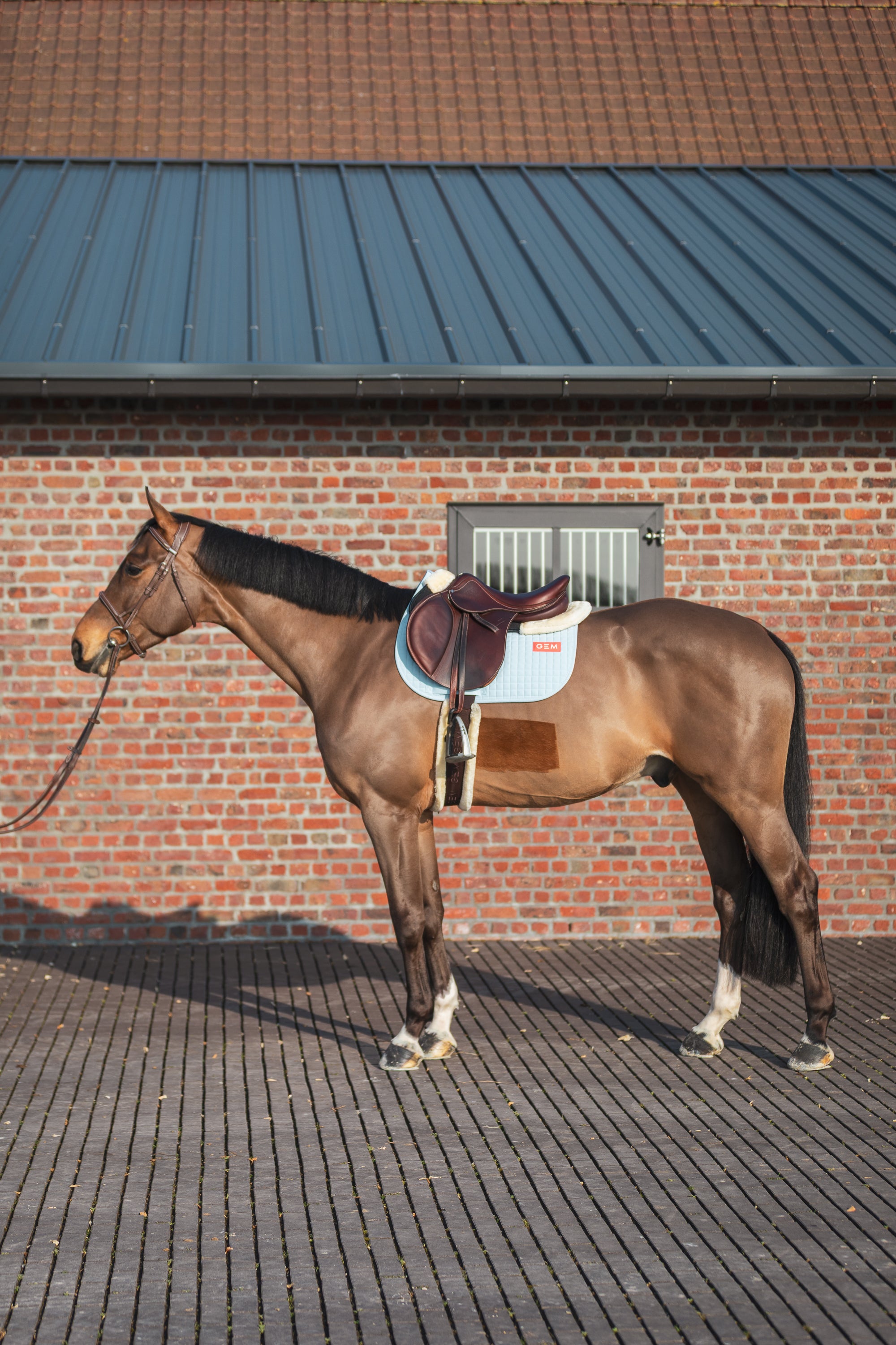 Tapis de selle Obstacle LEO Bleu ciel - GEM