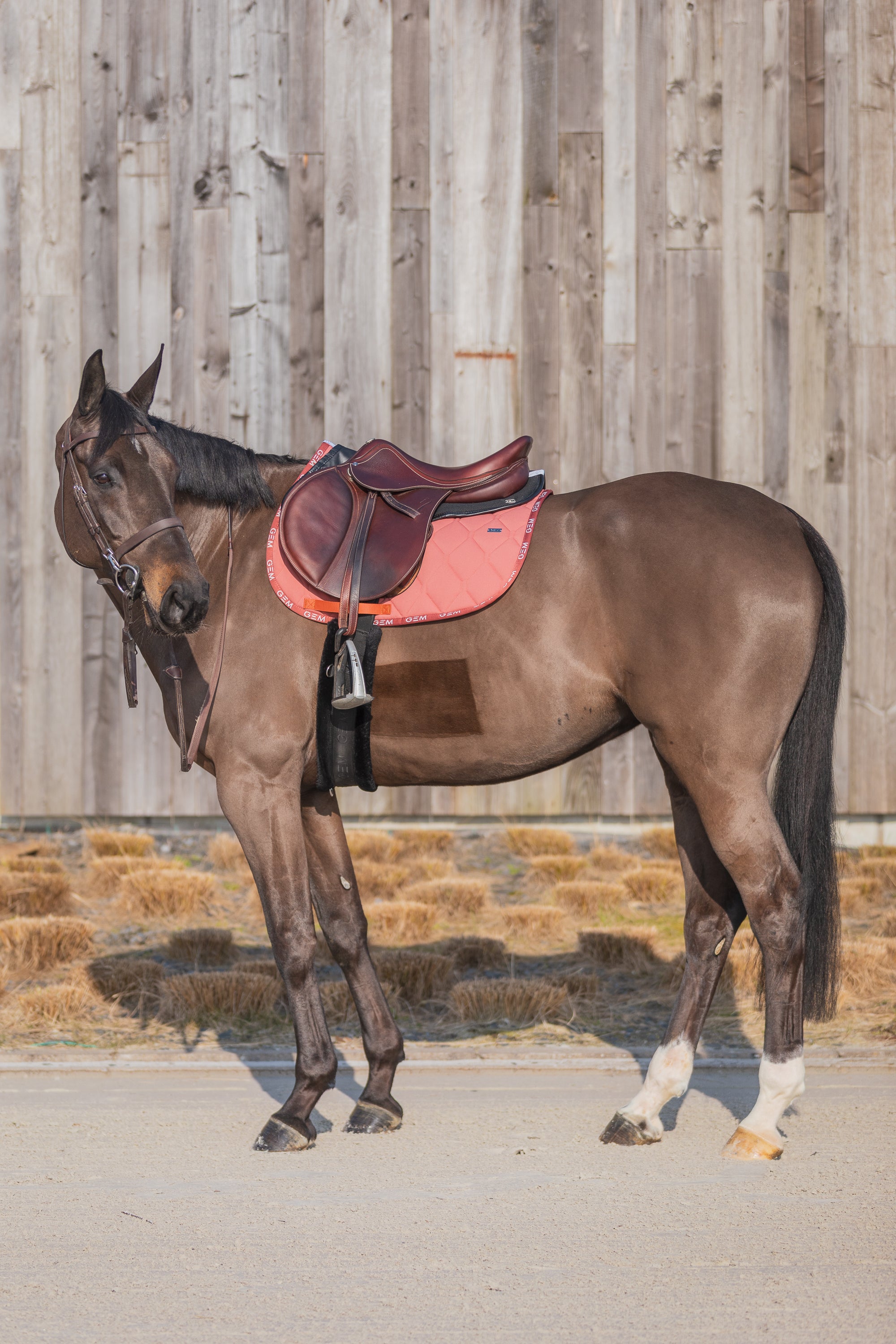 Tapis de selle LOVE Obstacle Rouille - GEM