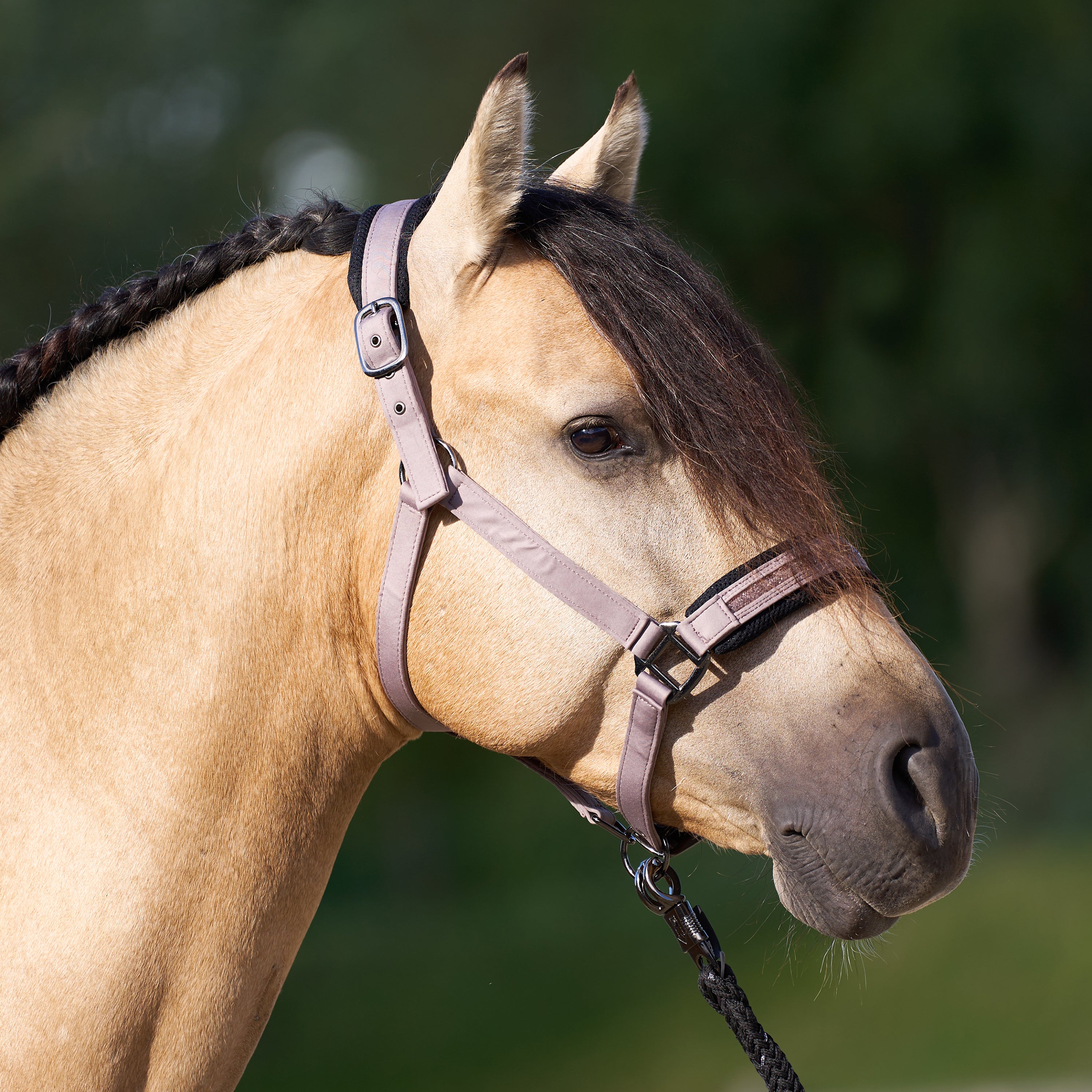 Licol Jewel Mesh - IMPERIAL RIDING