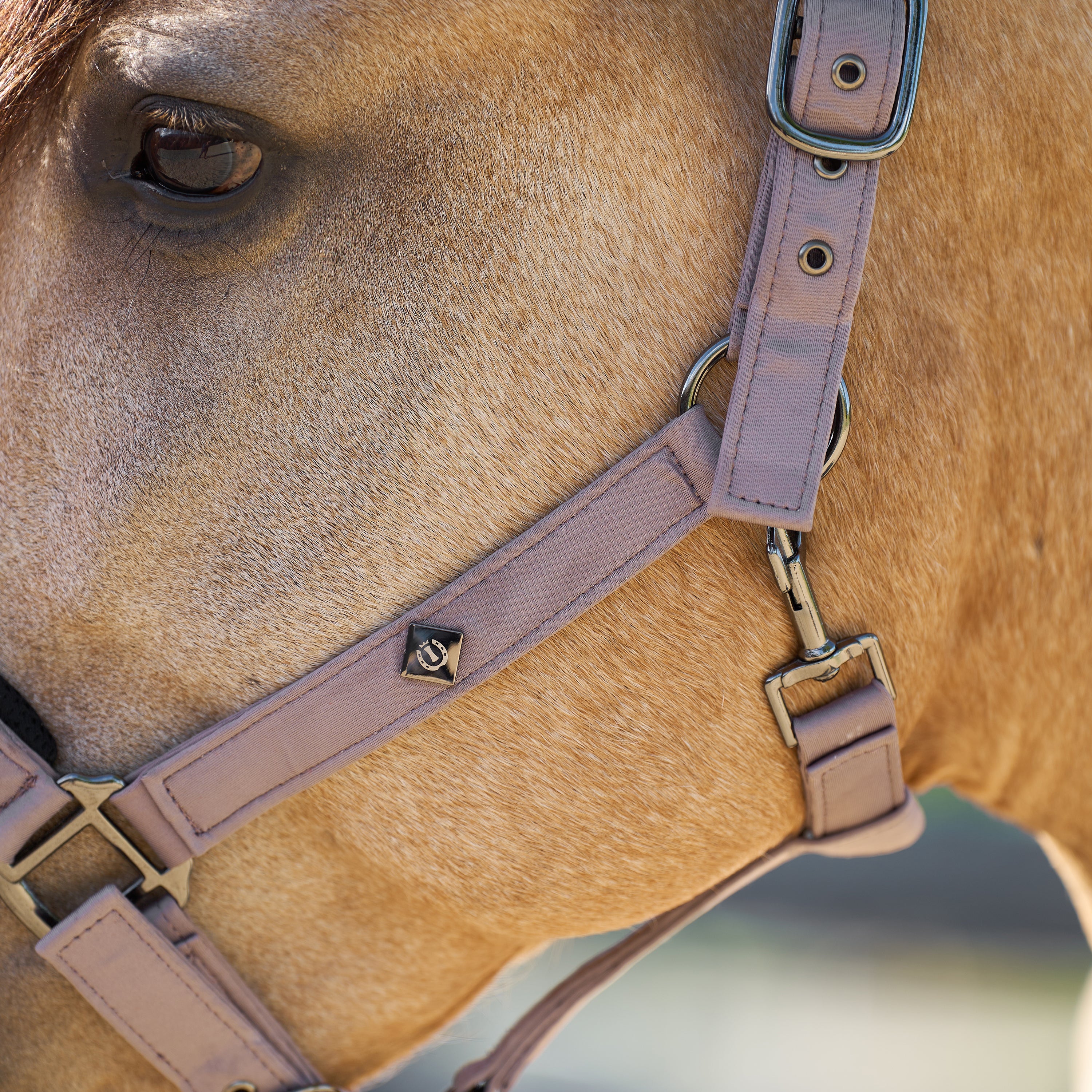 Licol Jewel Mesh - IMPERIAL RIDING