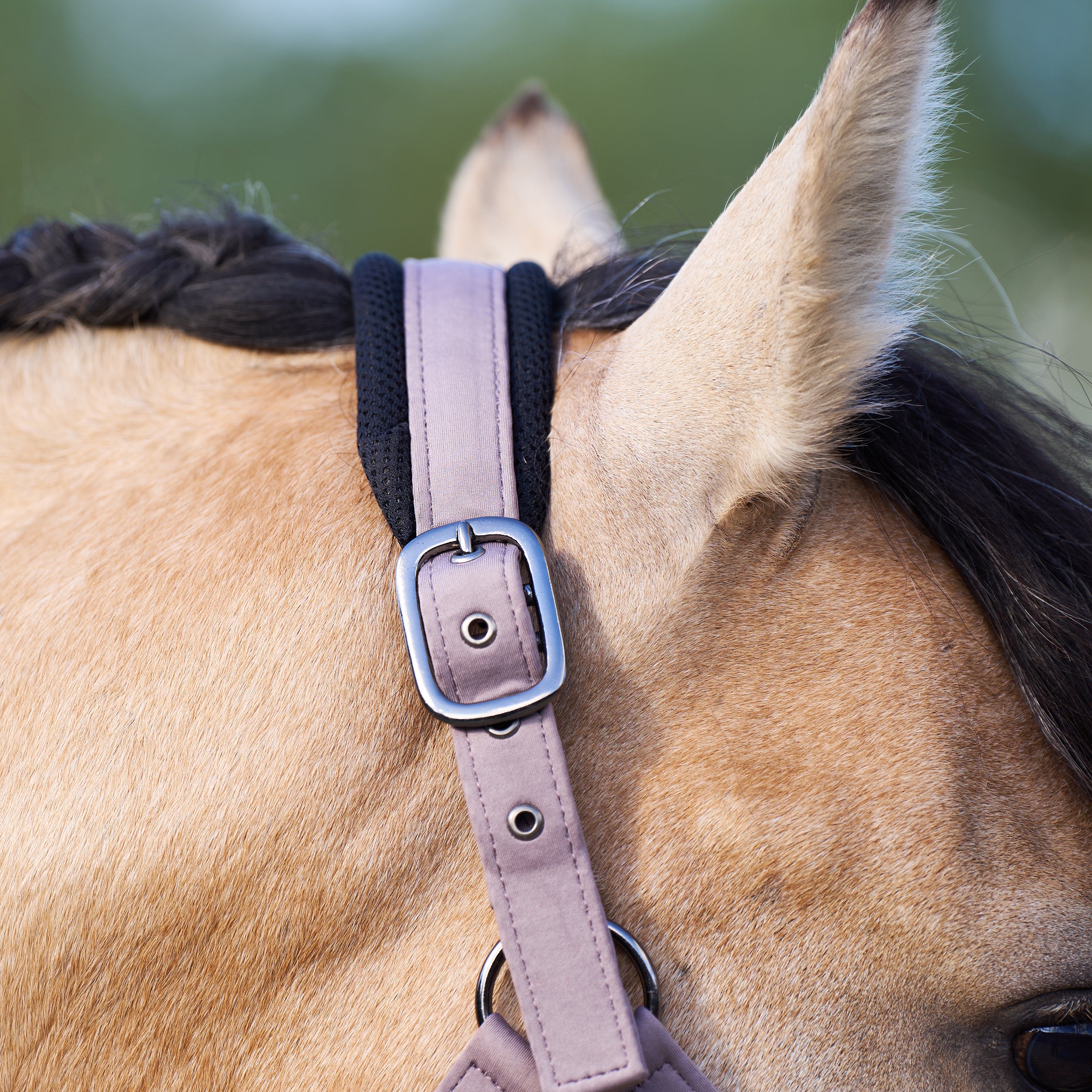 Licol Jewel Mesh - IMPERIAL RIDING