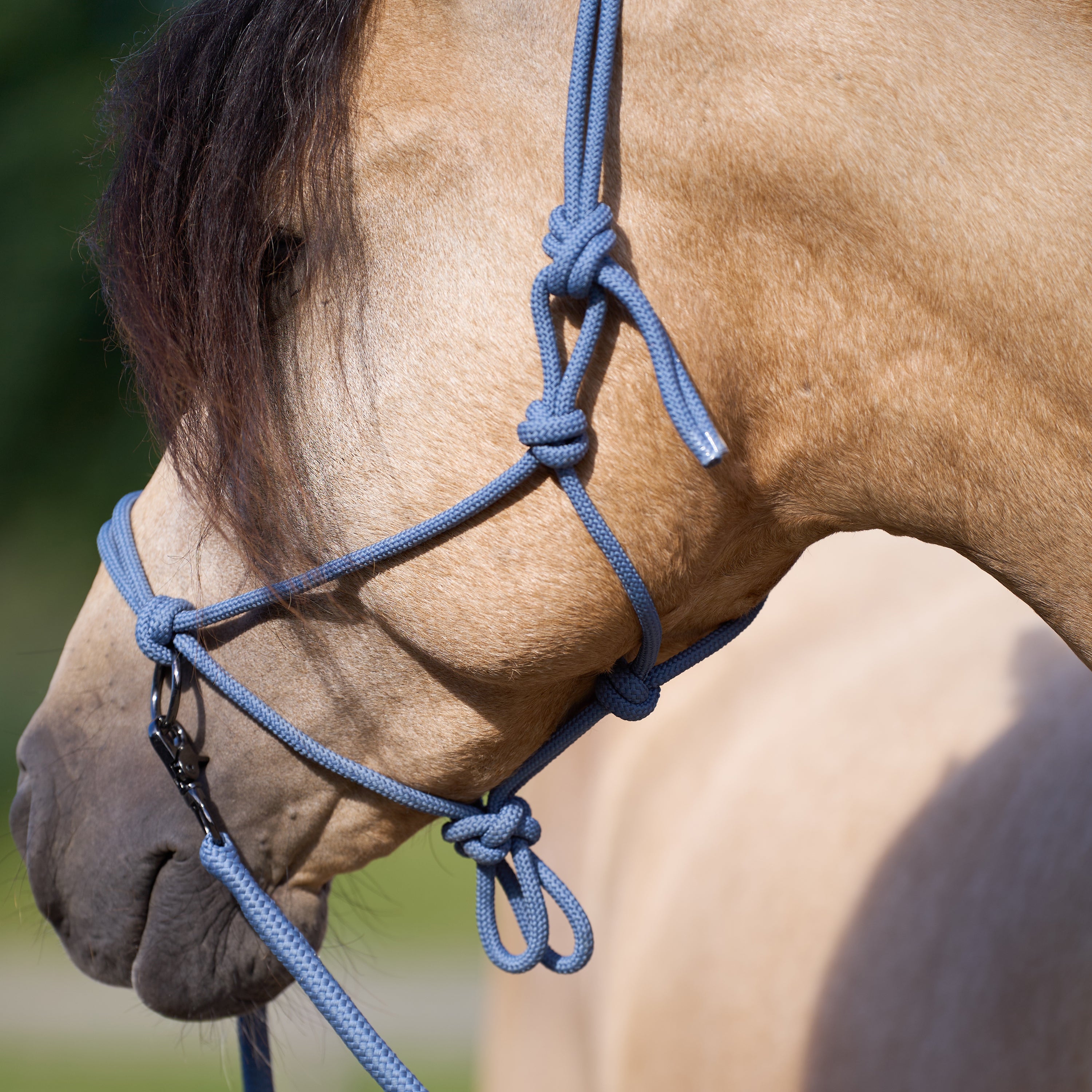 Licol en corde Free Ride - IMPERIAL RIDING