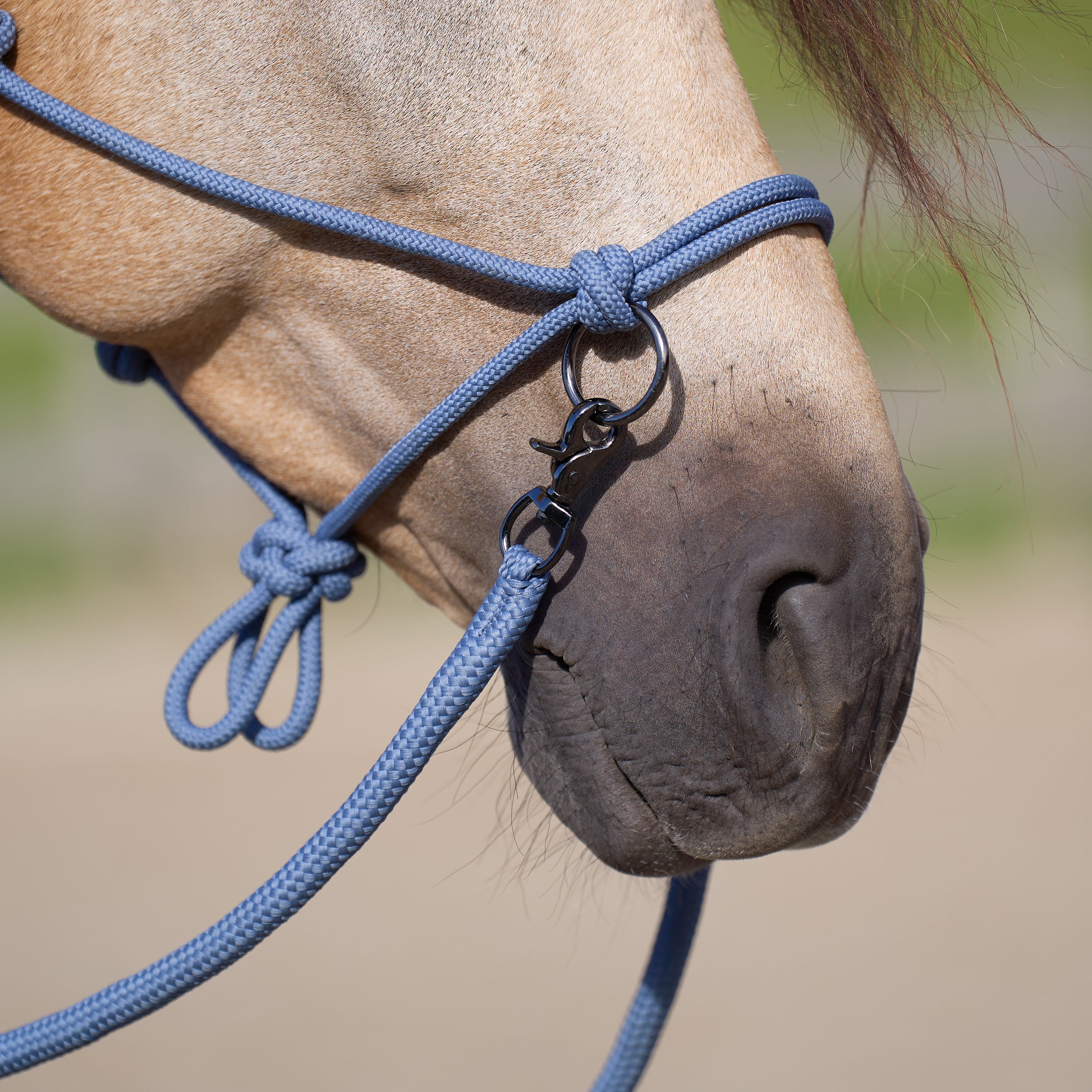 Licol en corde Free Ride - IMPERIAL RIDING