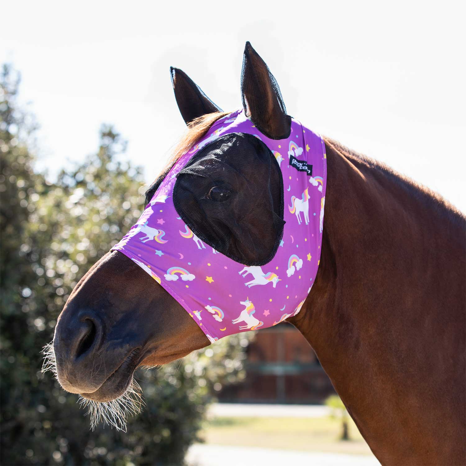 Masque Anti-Mouches Pour Cheval 2 Pièces – Imprimé Léopard Rose, Respirant Et Élastique