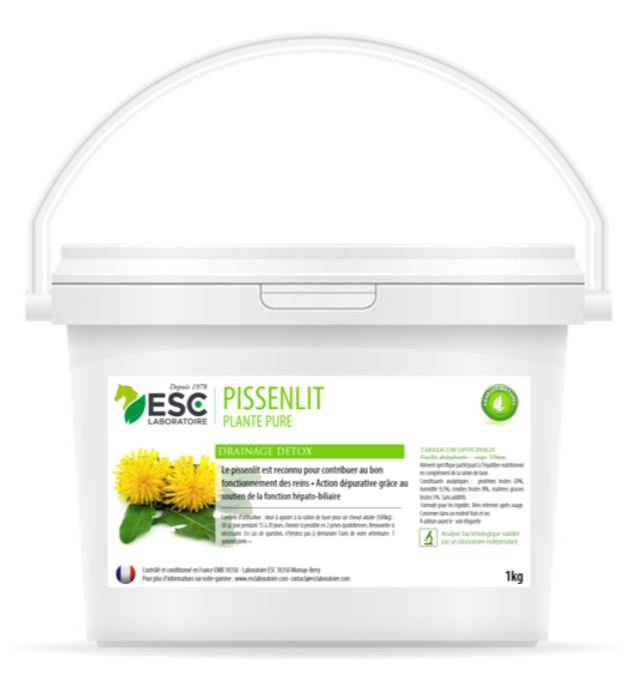 Pissenlit reins et détox - ESC LABORATOIRE