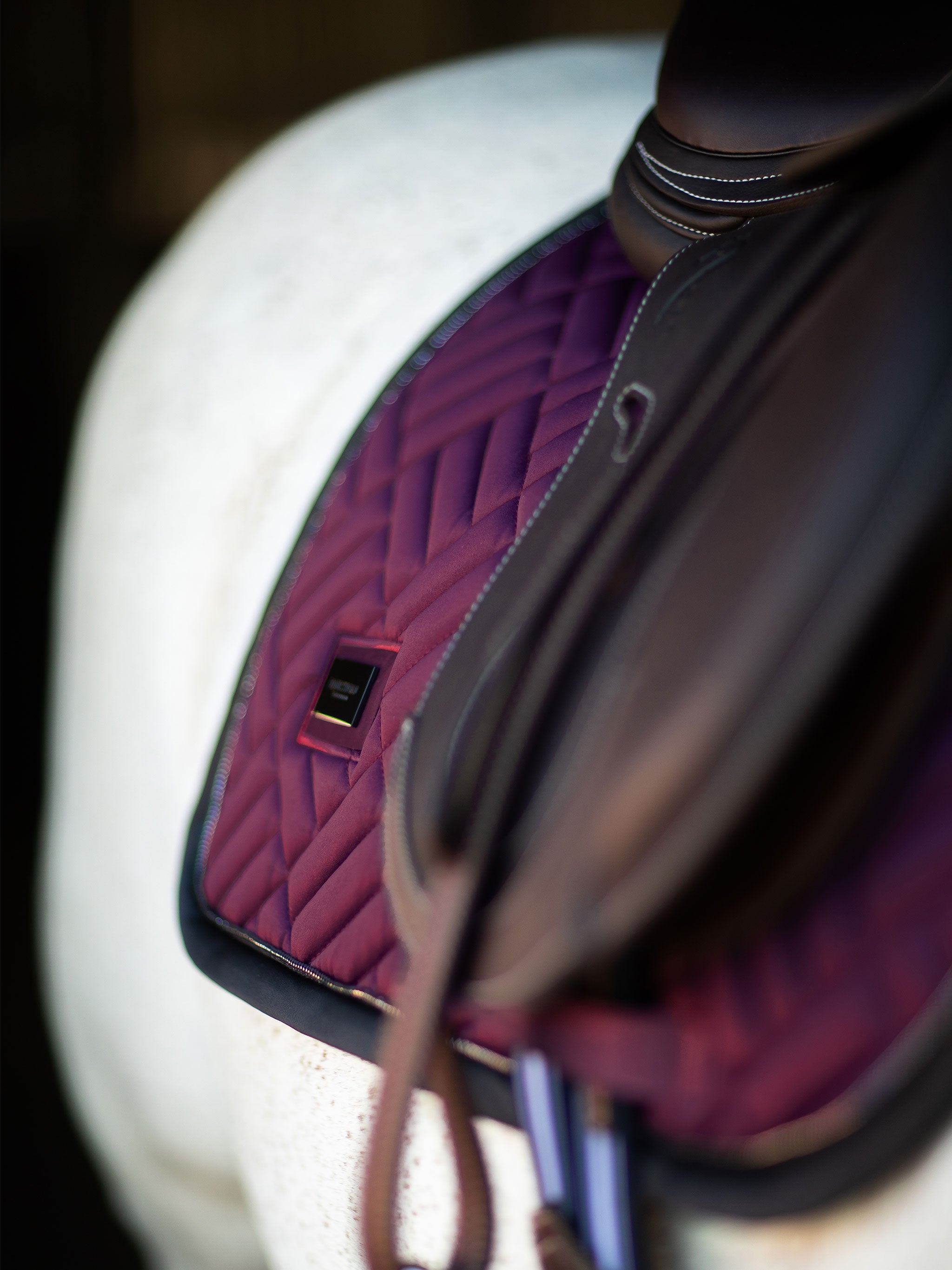 Tapis de selle Modern Purple Night MIXTE - Equestrian Stockholm