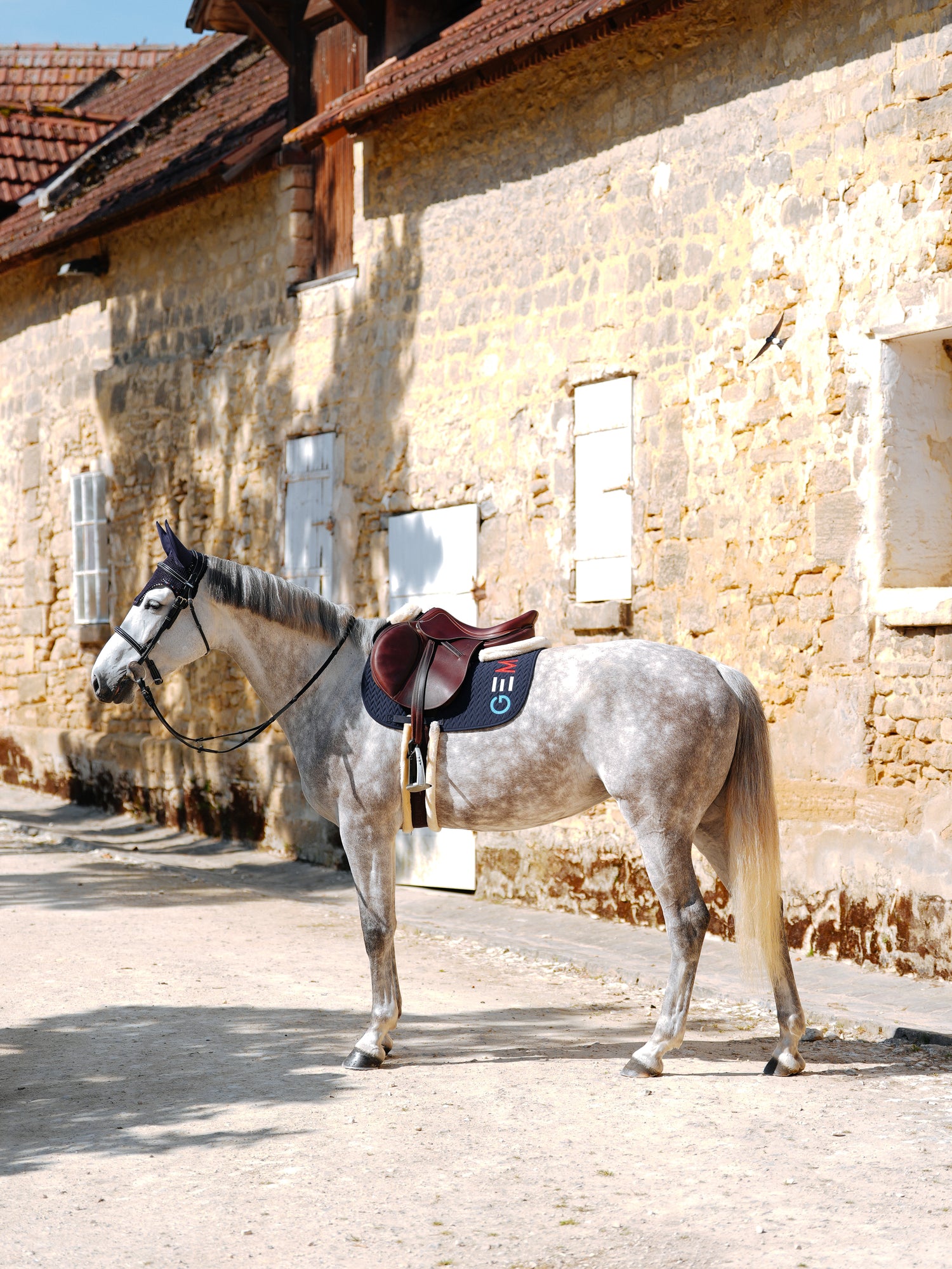 Tapis de selle TEN Bleu/Blanc/Rouge - GEM