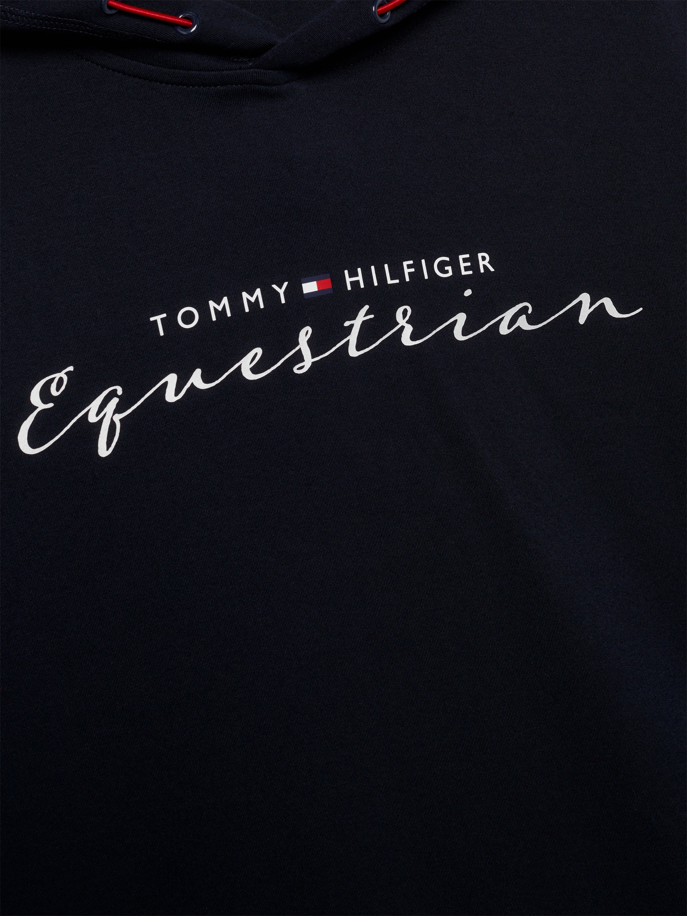 Sweat à capuche Logo Graphique Metallic - Tommy Hilfiger