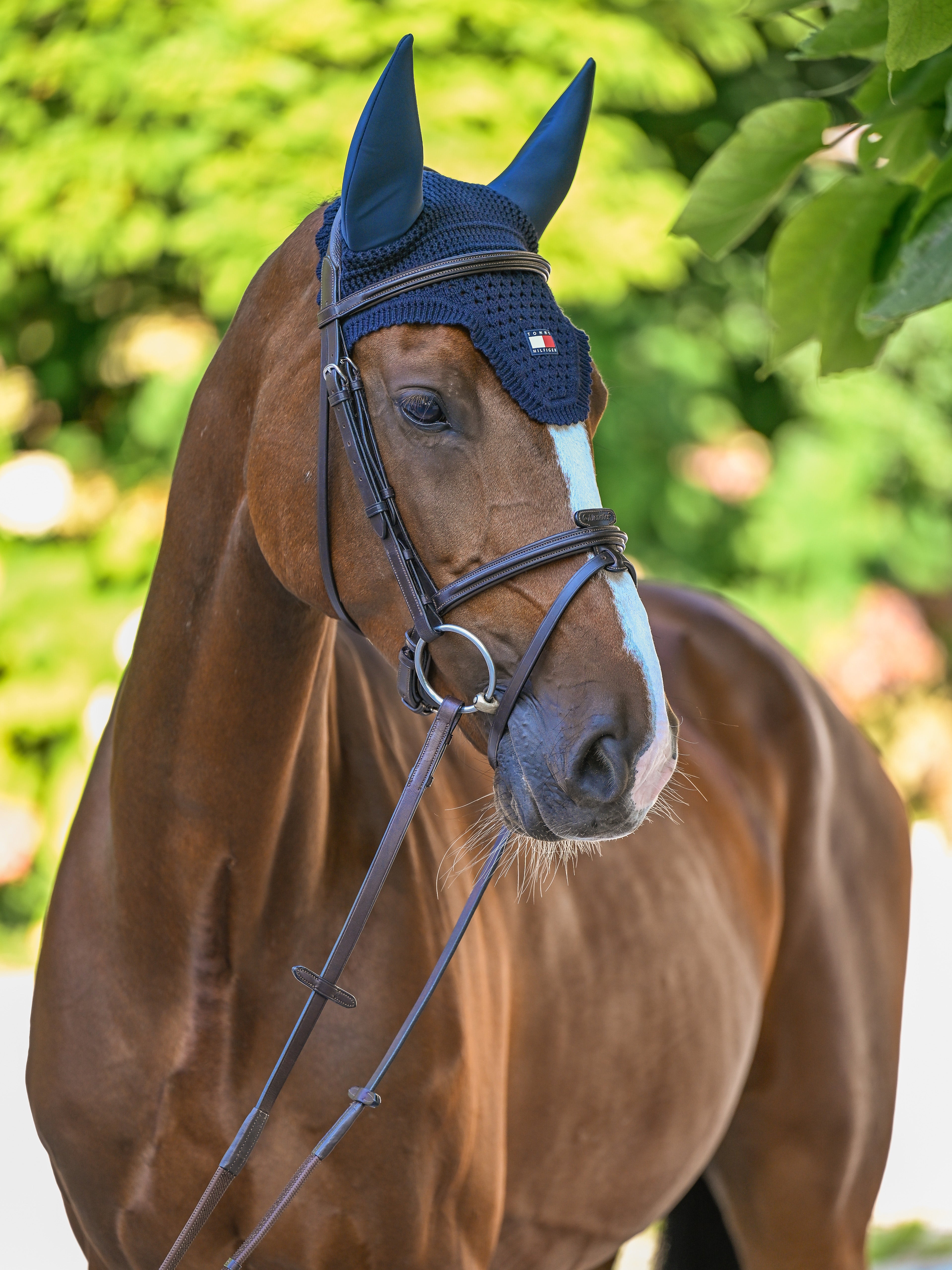 Bonnet anti-bruit Lexington - TOMMY HILFIGER