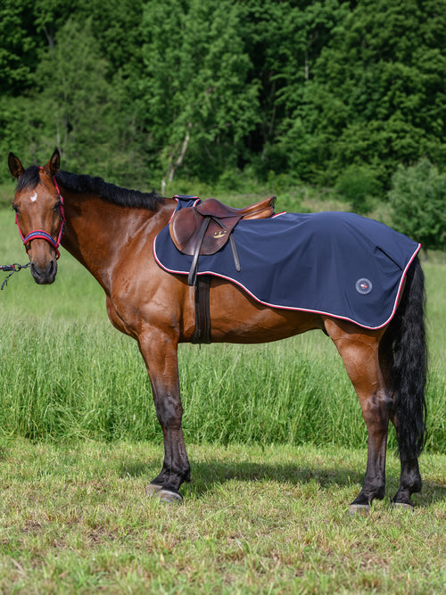 Couvre-rein imperméable Springfield - TOMMY HILFIGER