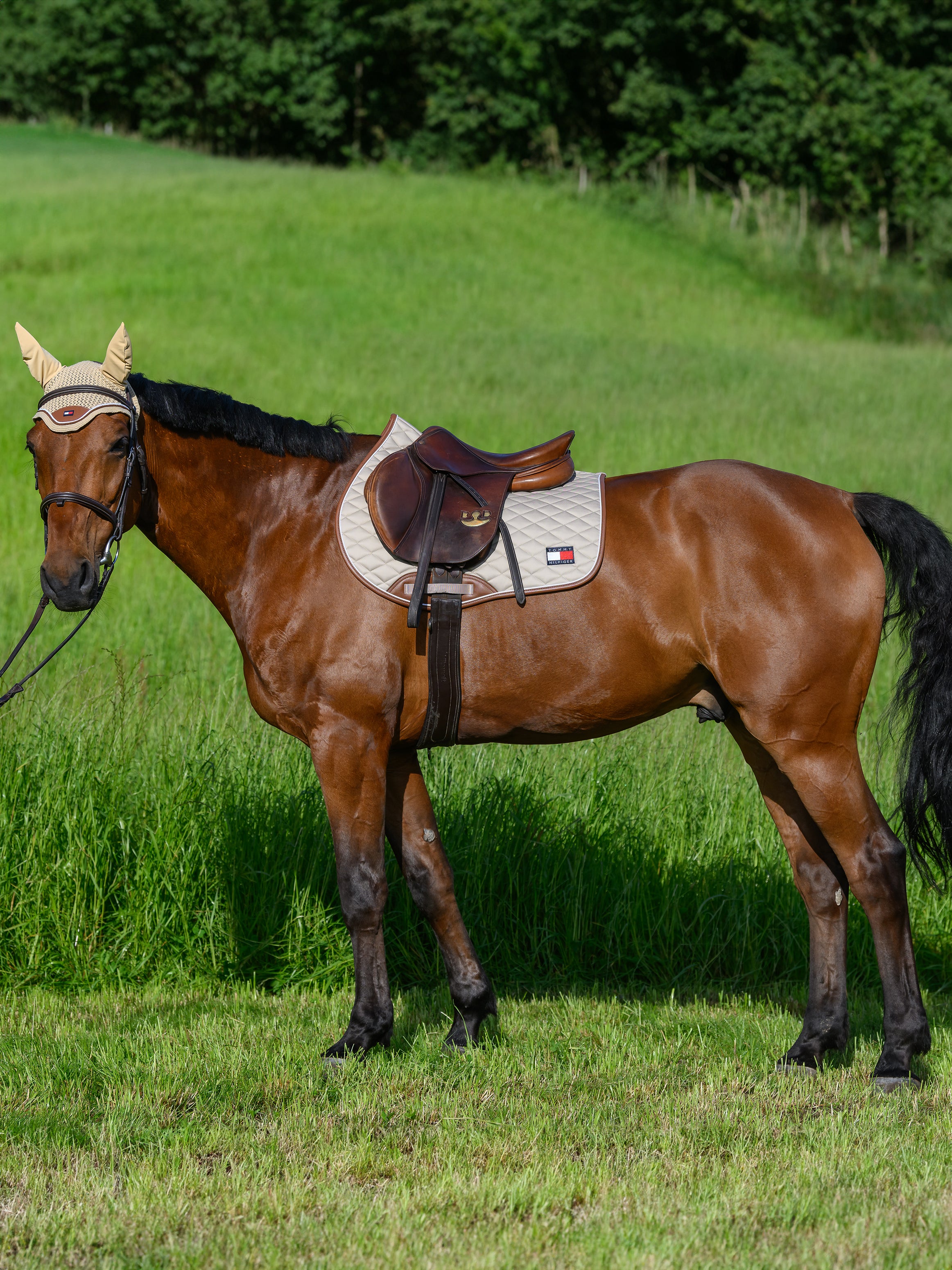 Tapis de selle Princeton MIXTE - Tommy Hilfiger