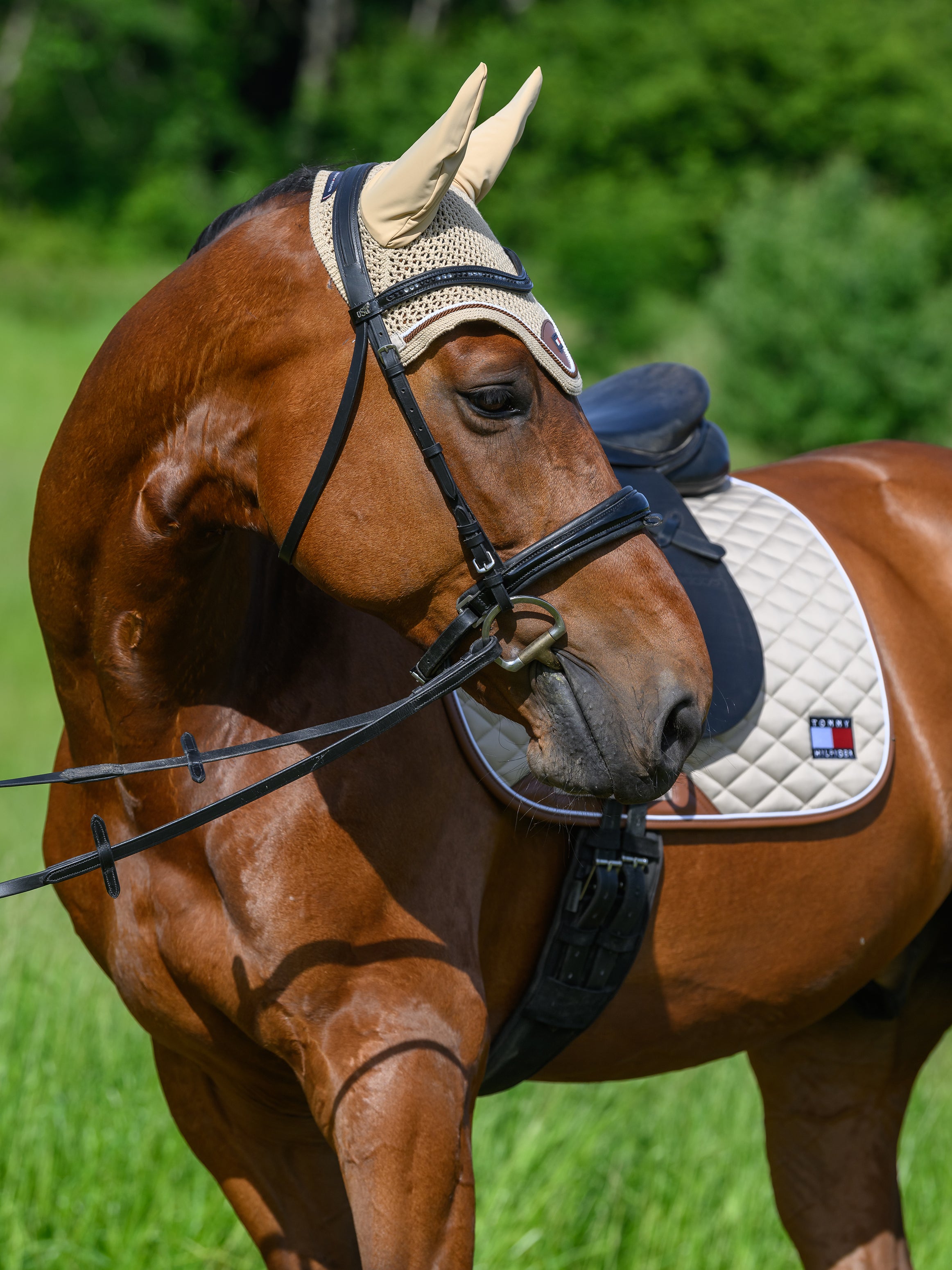 Tapis de selle Princeton DRESSAGE - Tommy Hilfiger
