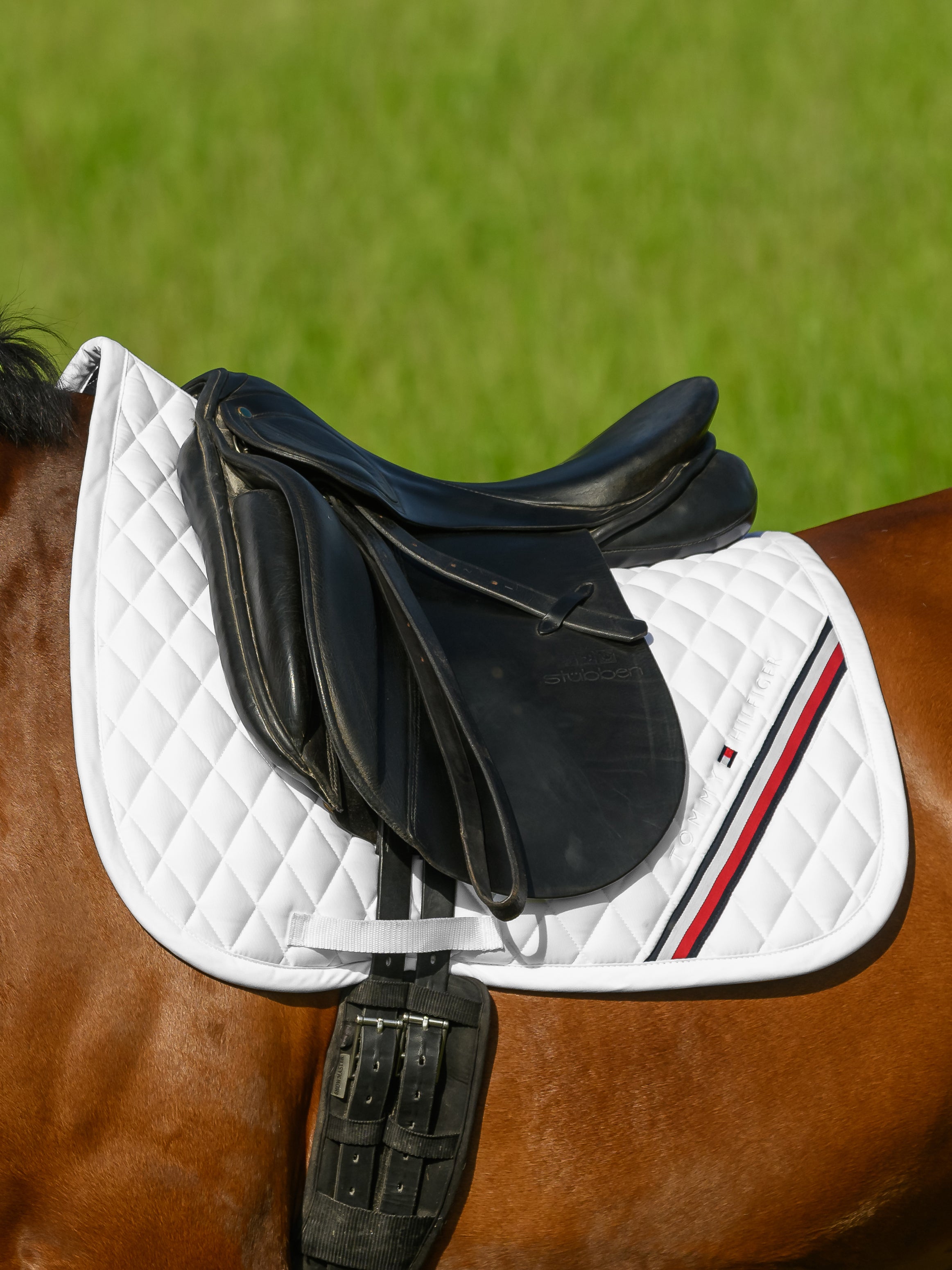 Tapis de selle Stanford DRESSAGE - TOMMY HILFIGER