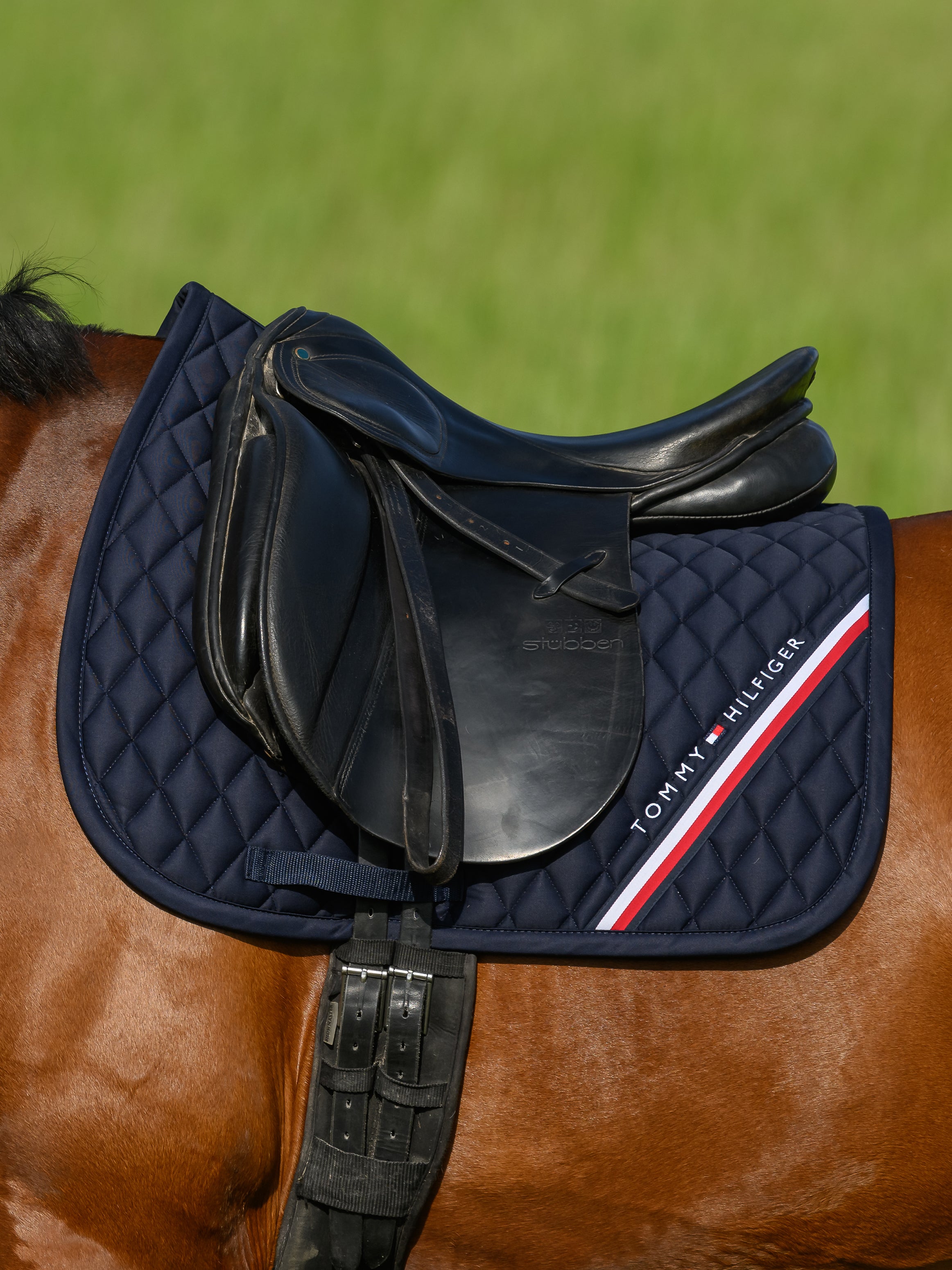 Tapis de selle Stanford DRESSAGE - TOMMY HILFIGER
