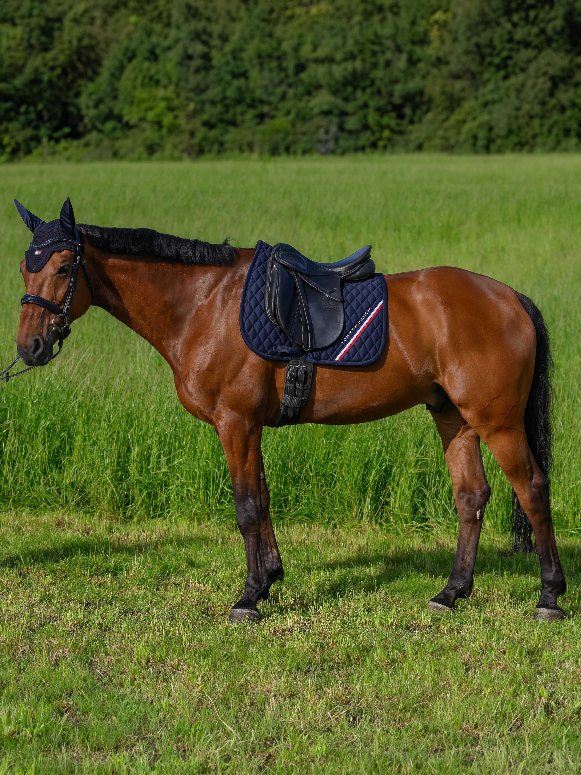 Tapis de selle Stanford DRESSAGE - TOMMY HILFIGER
