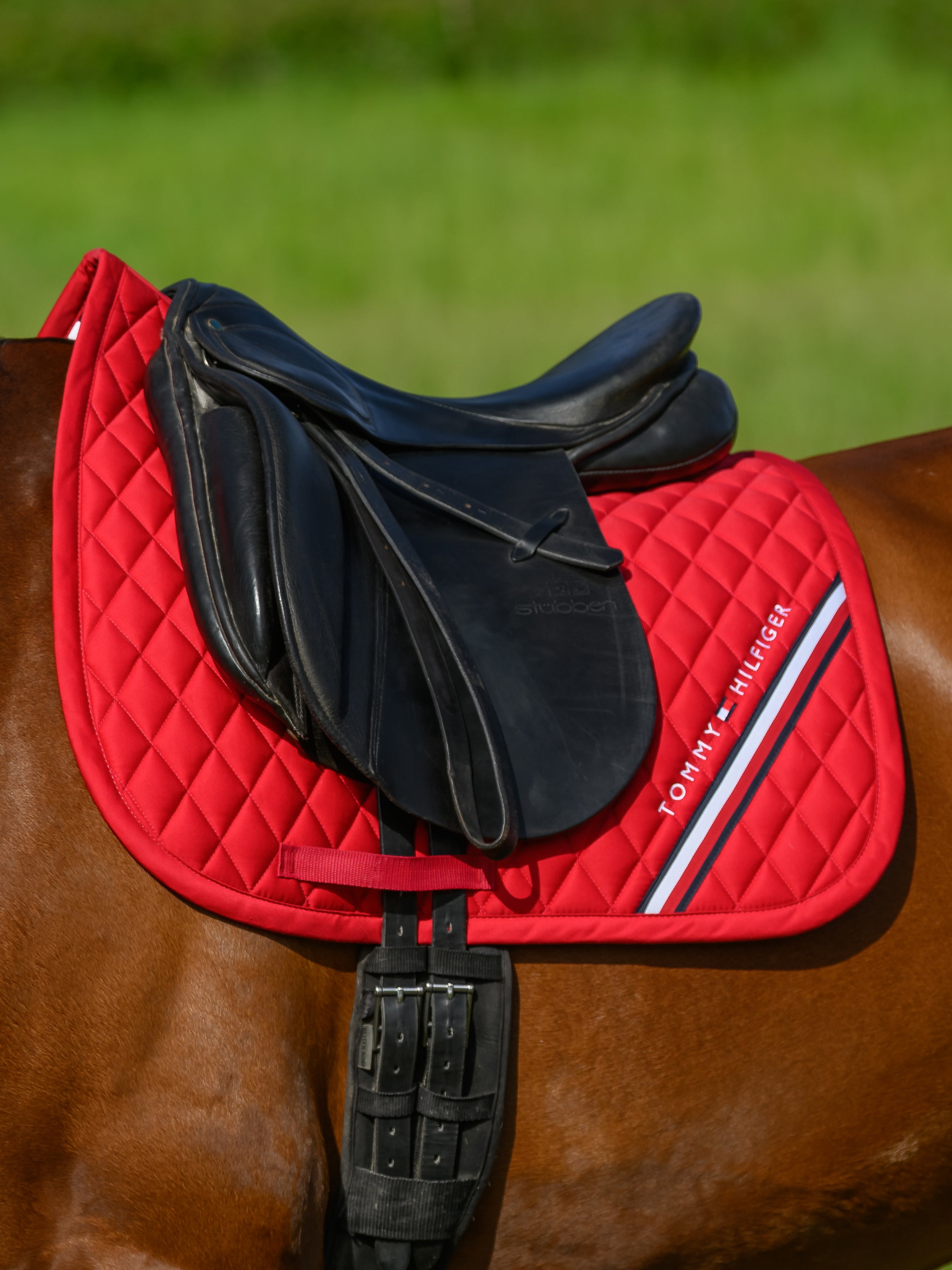 Tapis de selle Stanford DRESSAGE - TOMMY HILFIGER